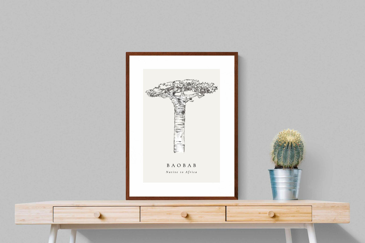 Pixalot ® Baobab Illustration