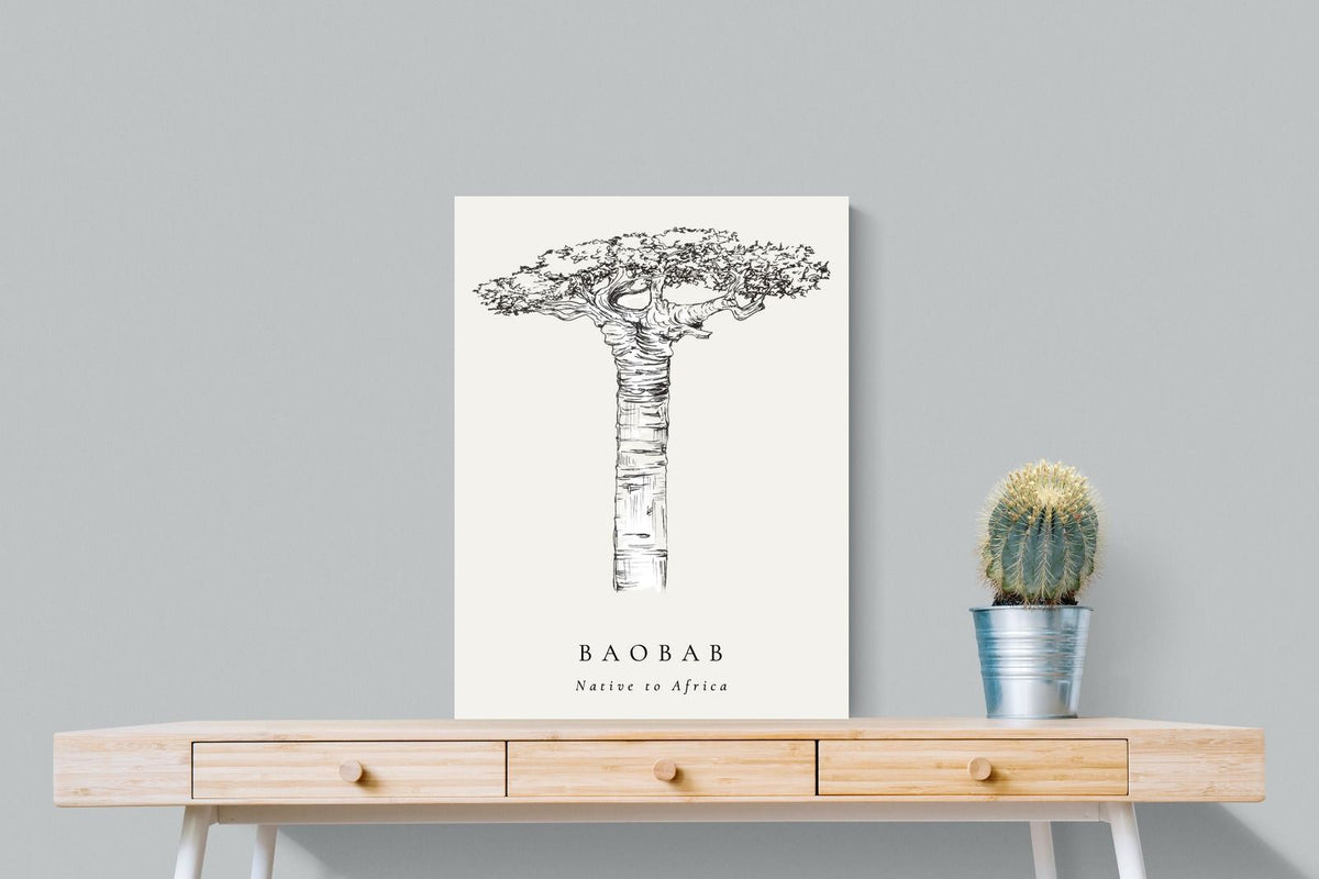 Pixalot ® Baobab Illustration