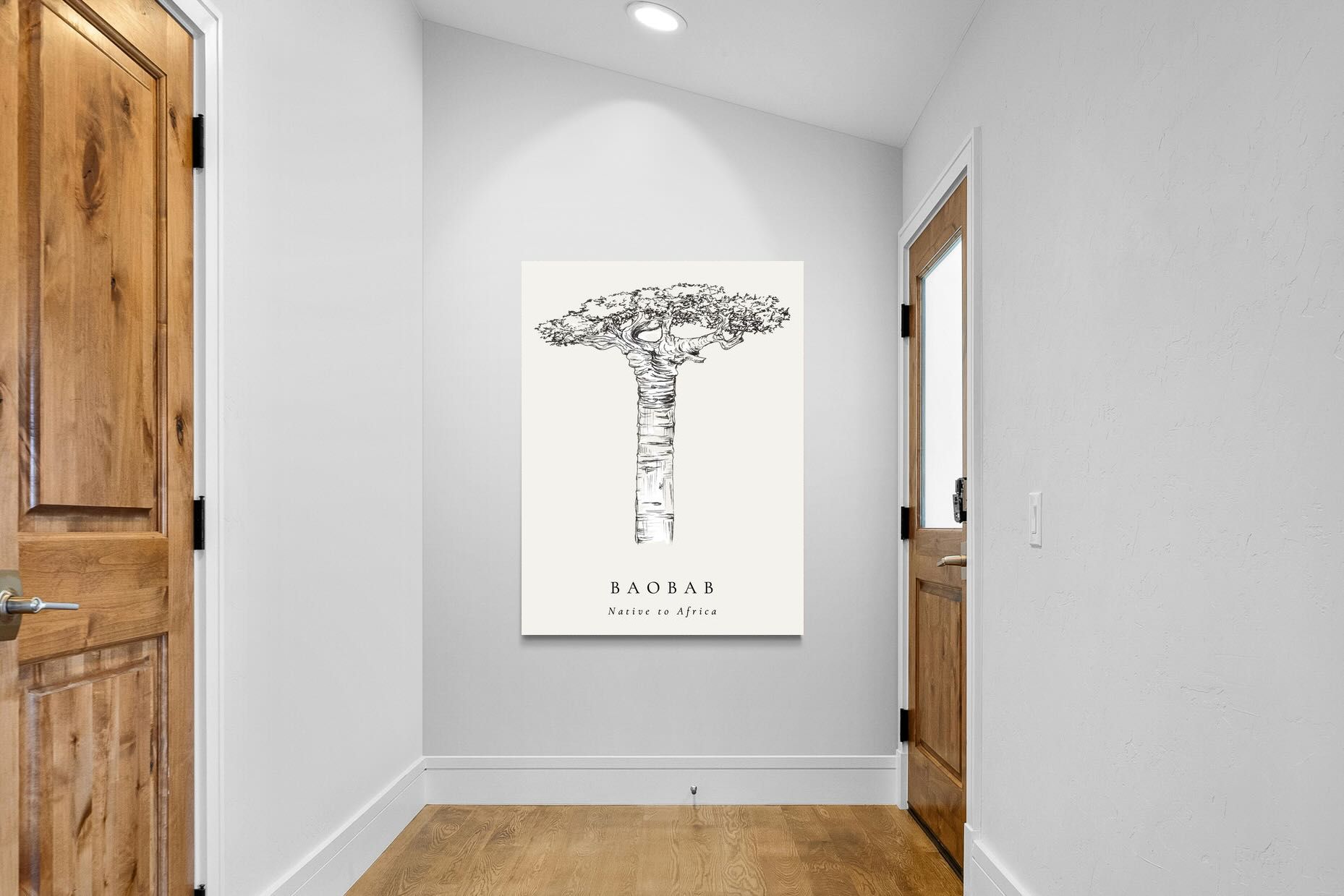 Pixalot ® Baobab Illustration