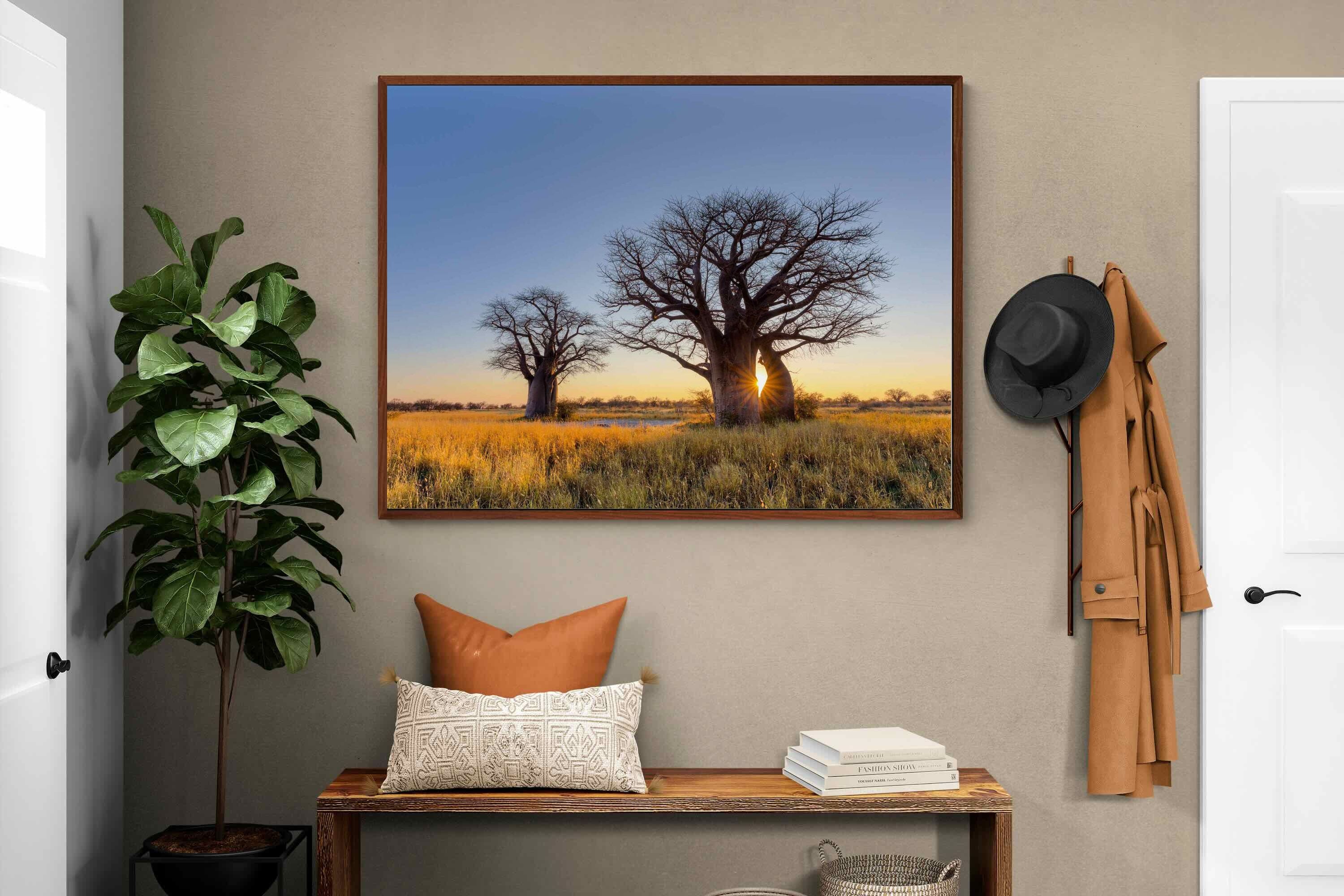 Pixalot ® Baobab