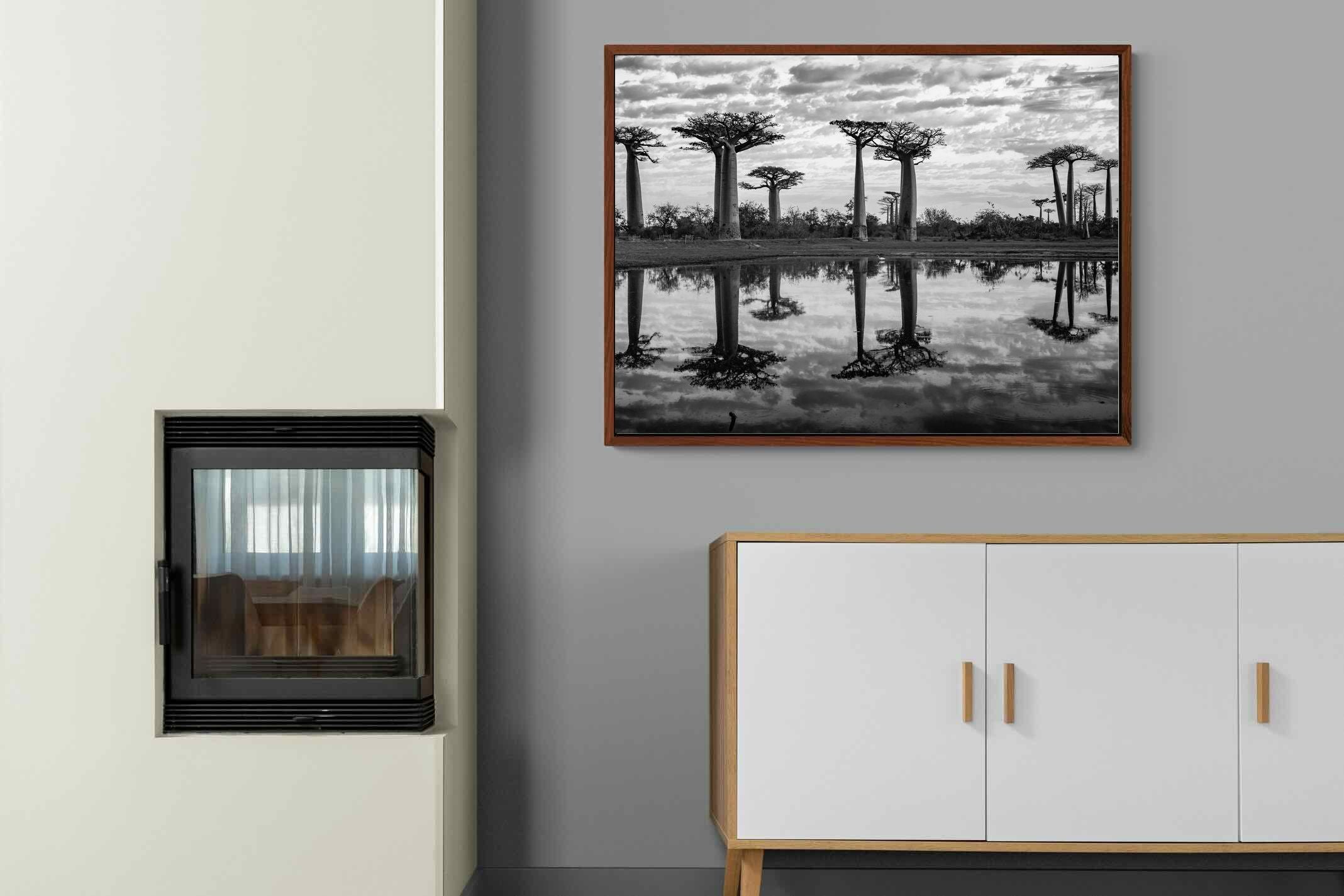 Pixalot ® Baobab Trees