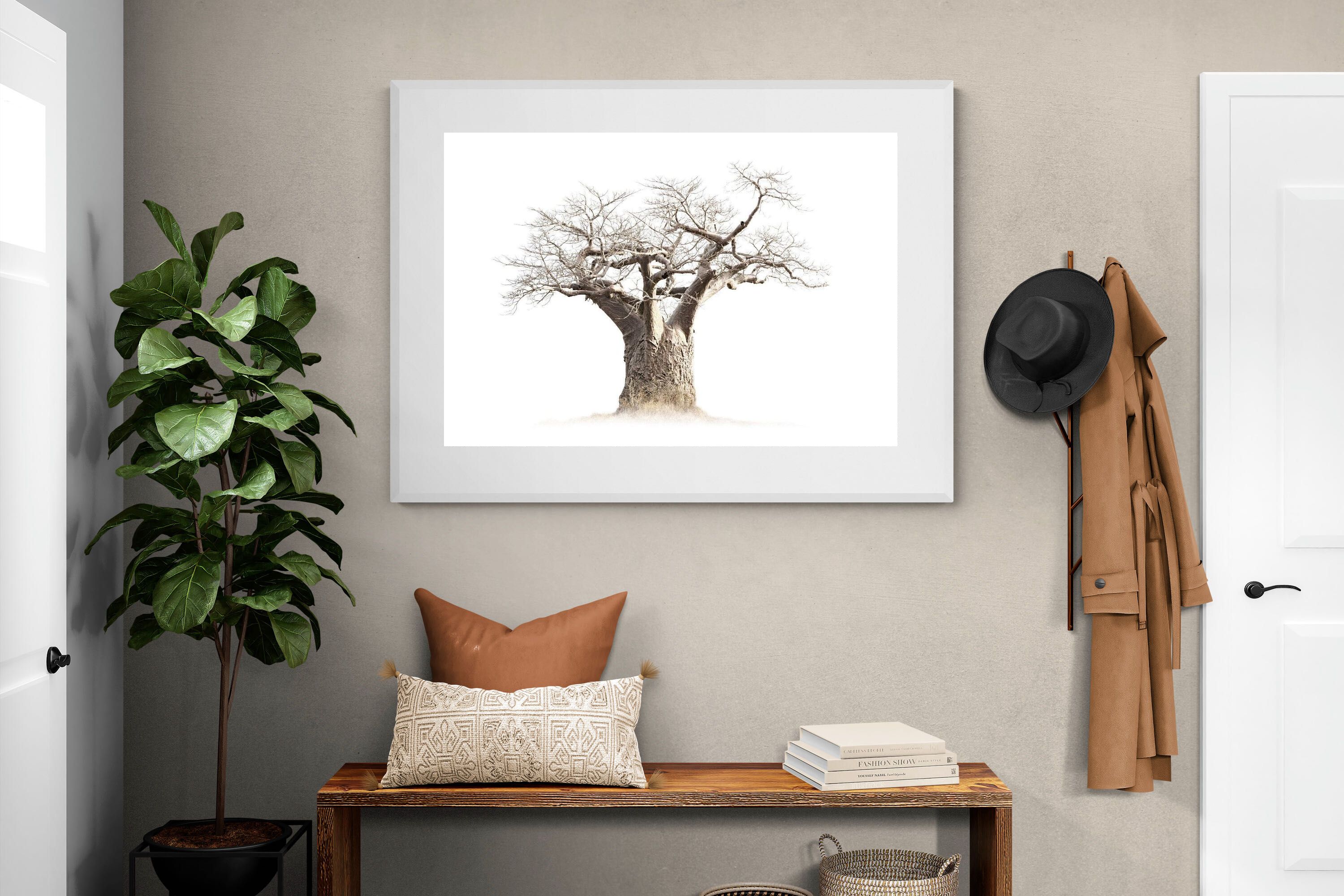 Pixalot ® Baobab Whiteout