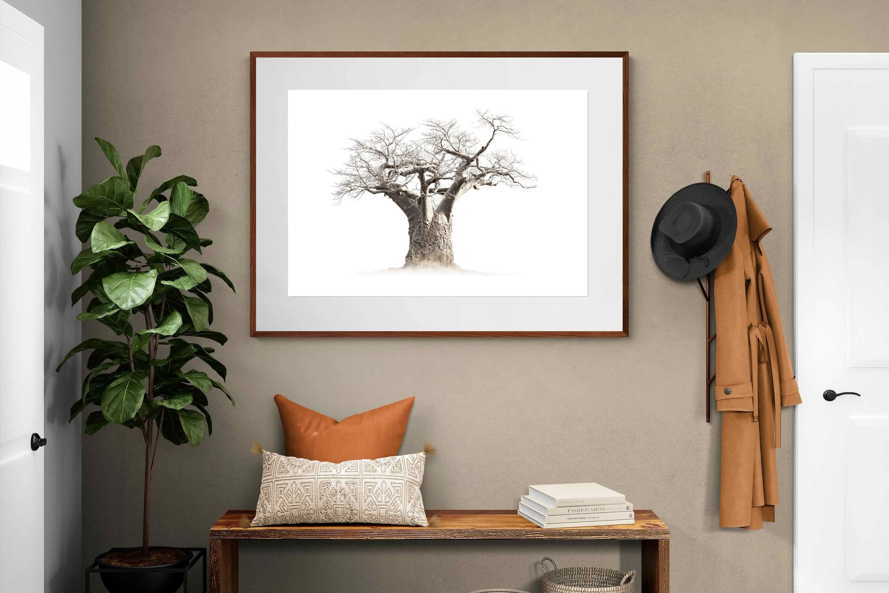 Pixalot Baobab Whiteout