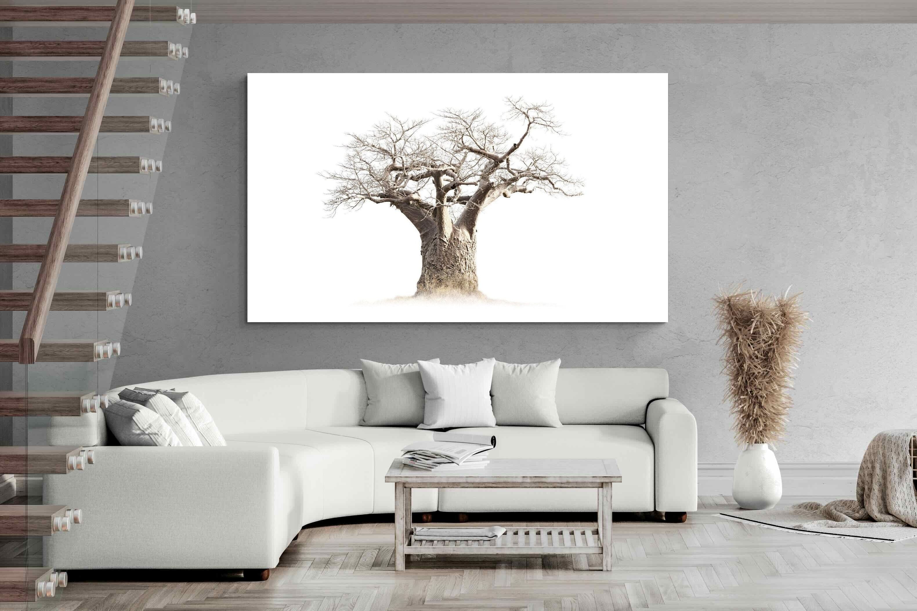 Pixalot ® Baobab Whiteout