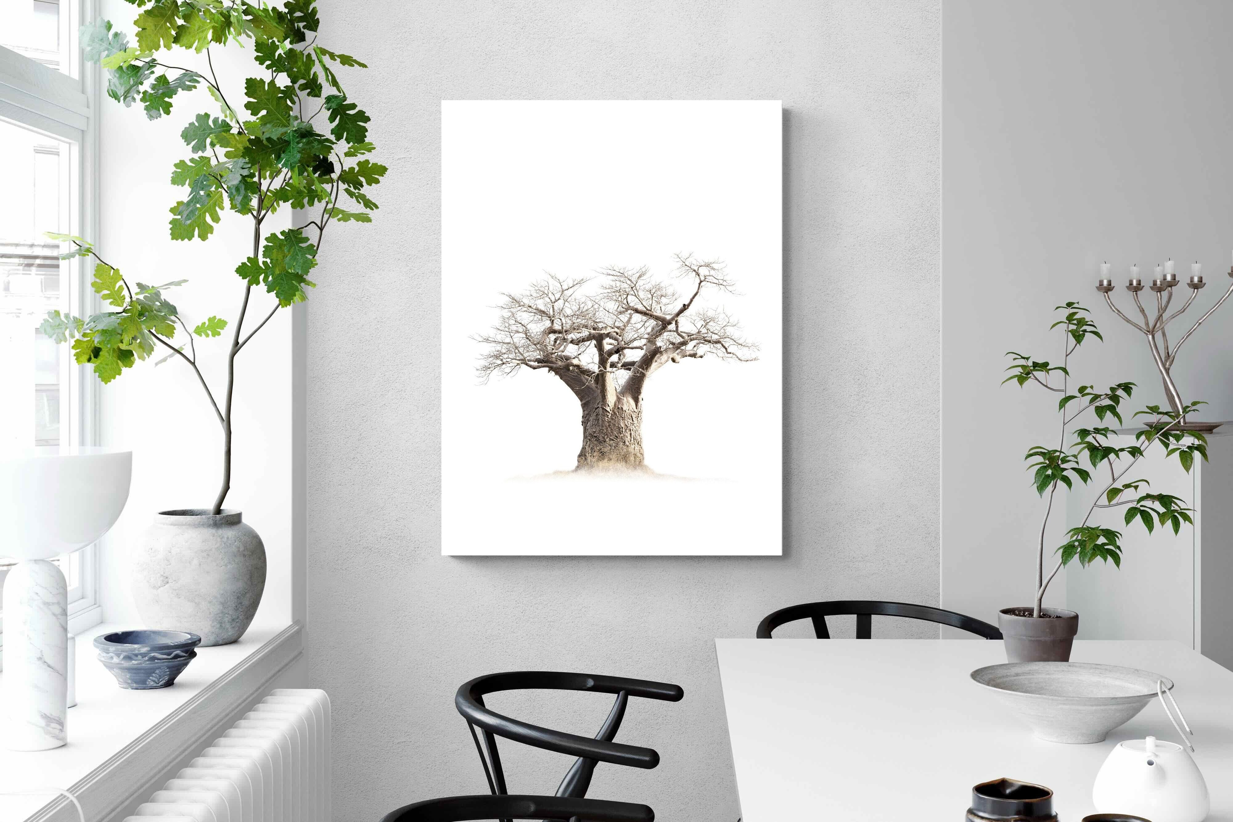 Pixalot ® Baobab Whiteout