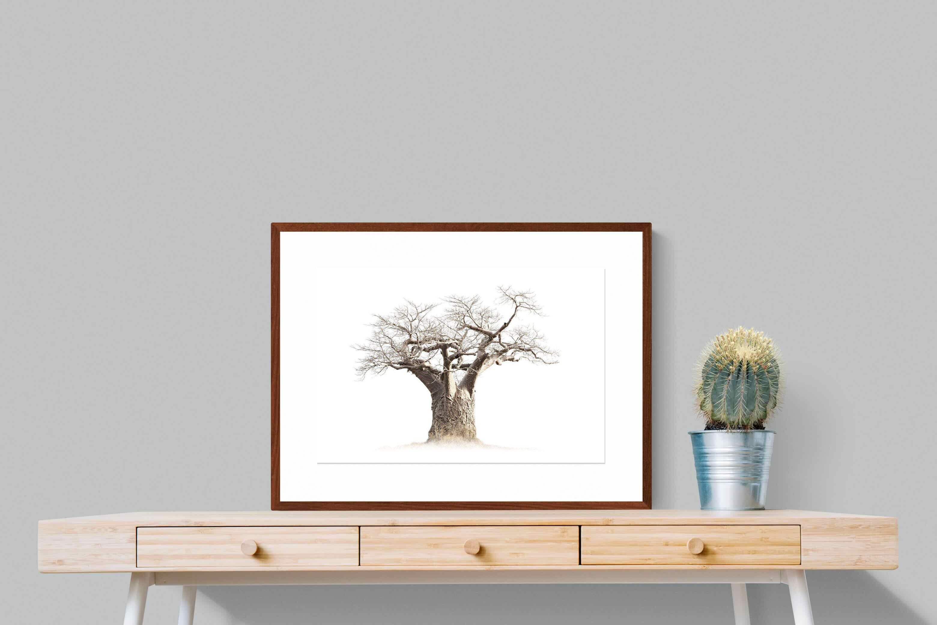 Pixalot ® Baobab Whiteout
