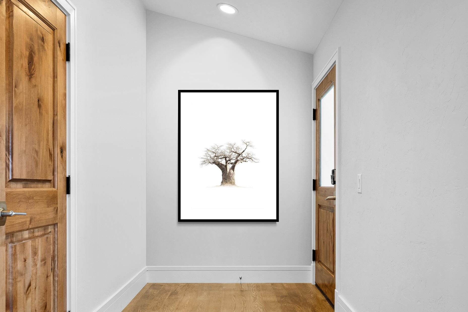 Pixalot ® Baobab Whiteout