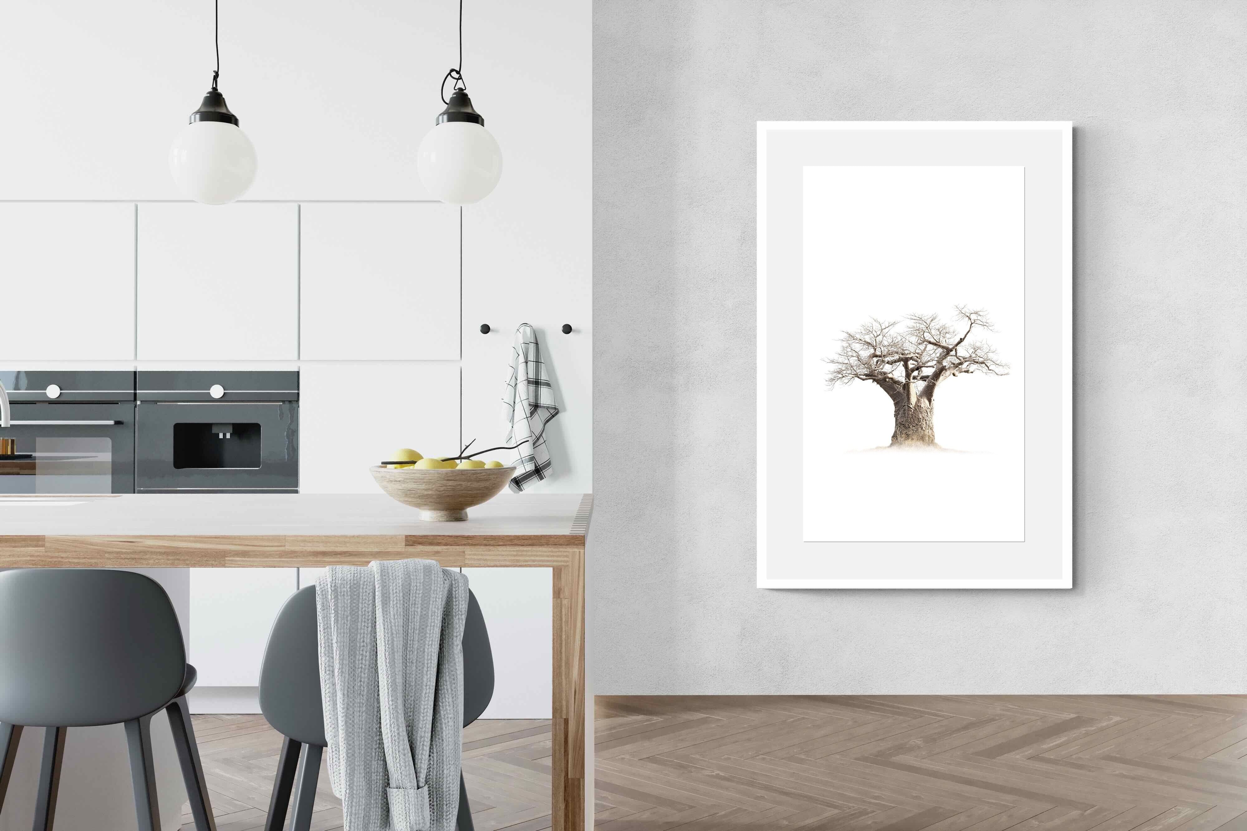 Pixalot ® Baobab Whiteout