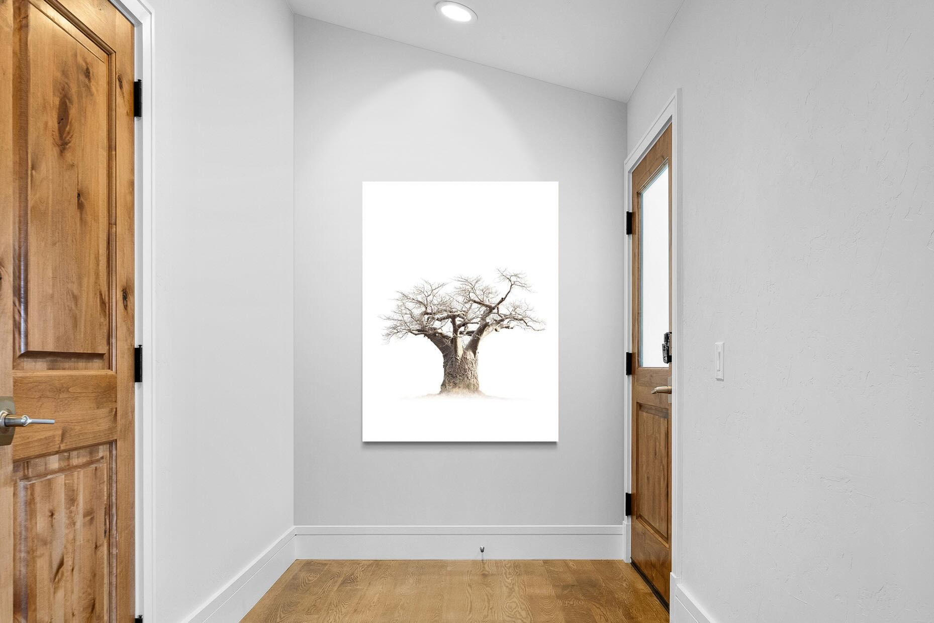 Pixalot ® Baobab Whiteout