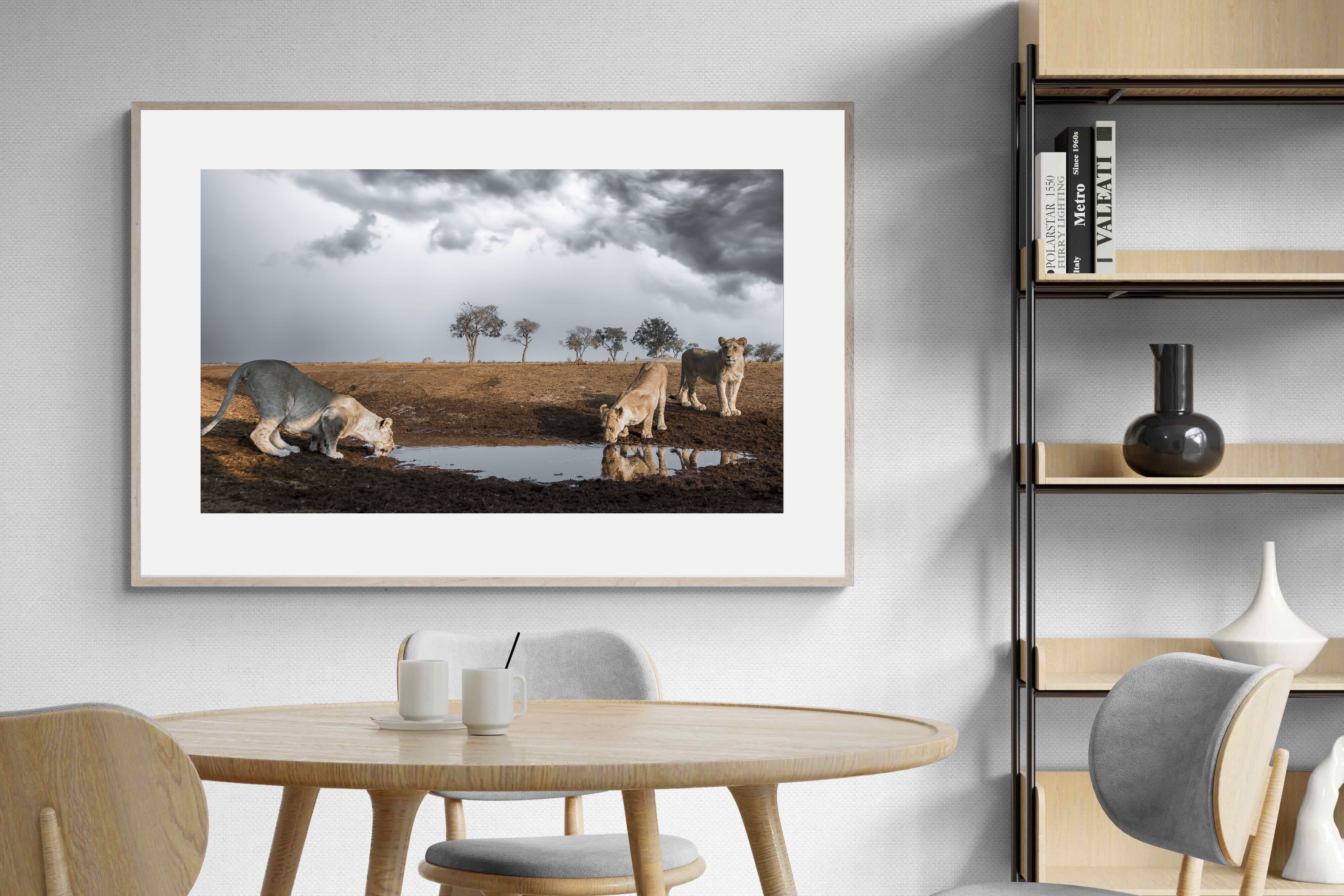 Pixalot Before the Storm