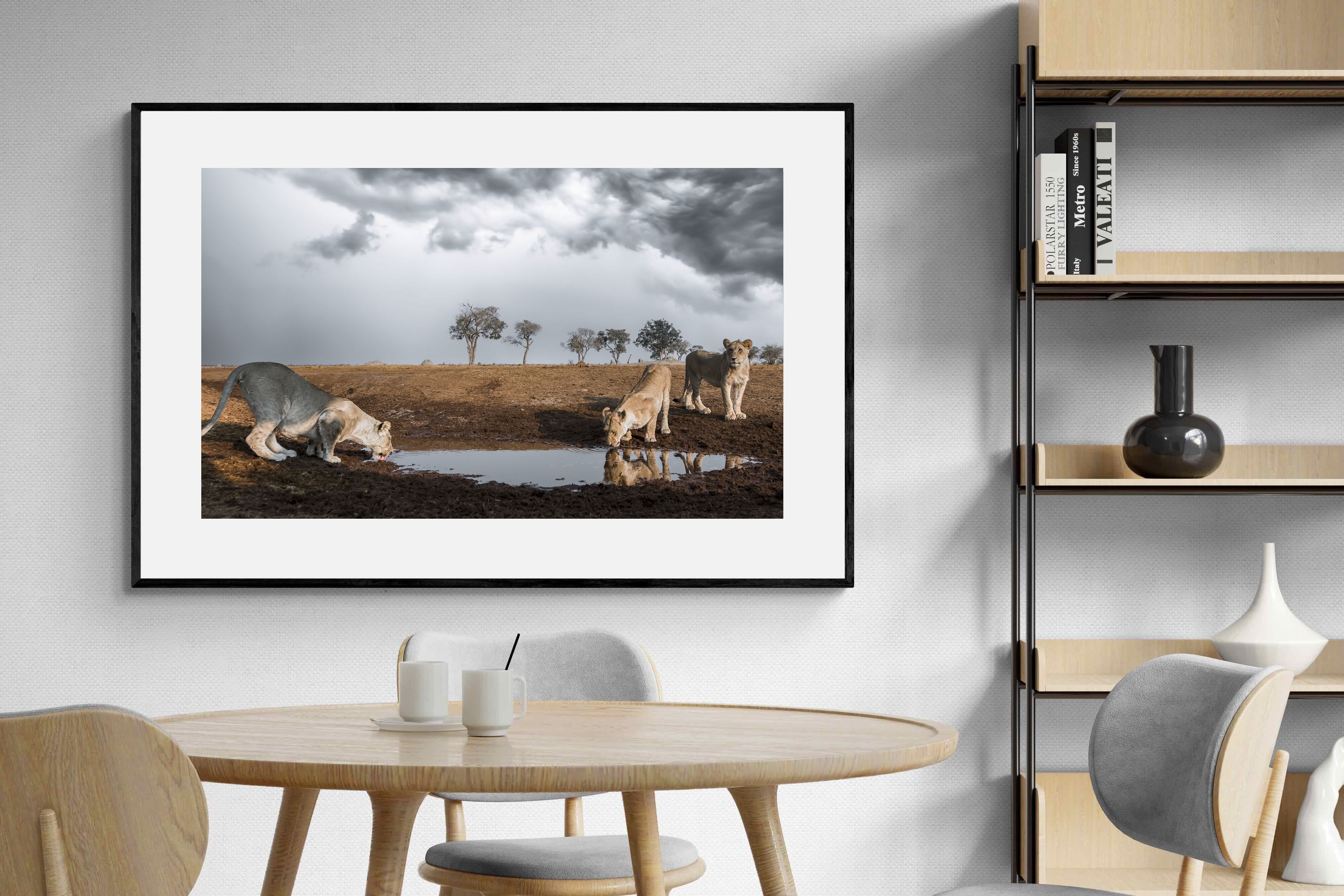 Pixalot Before the Storm