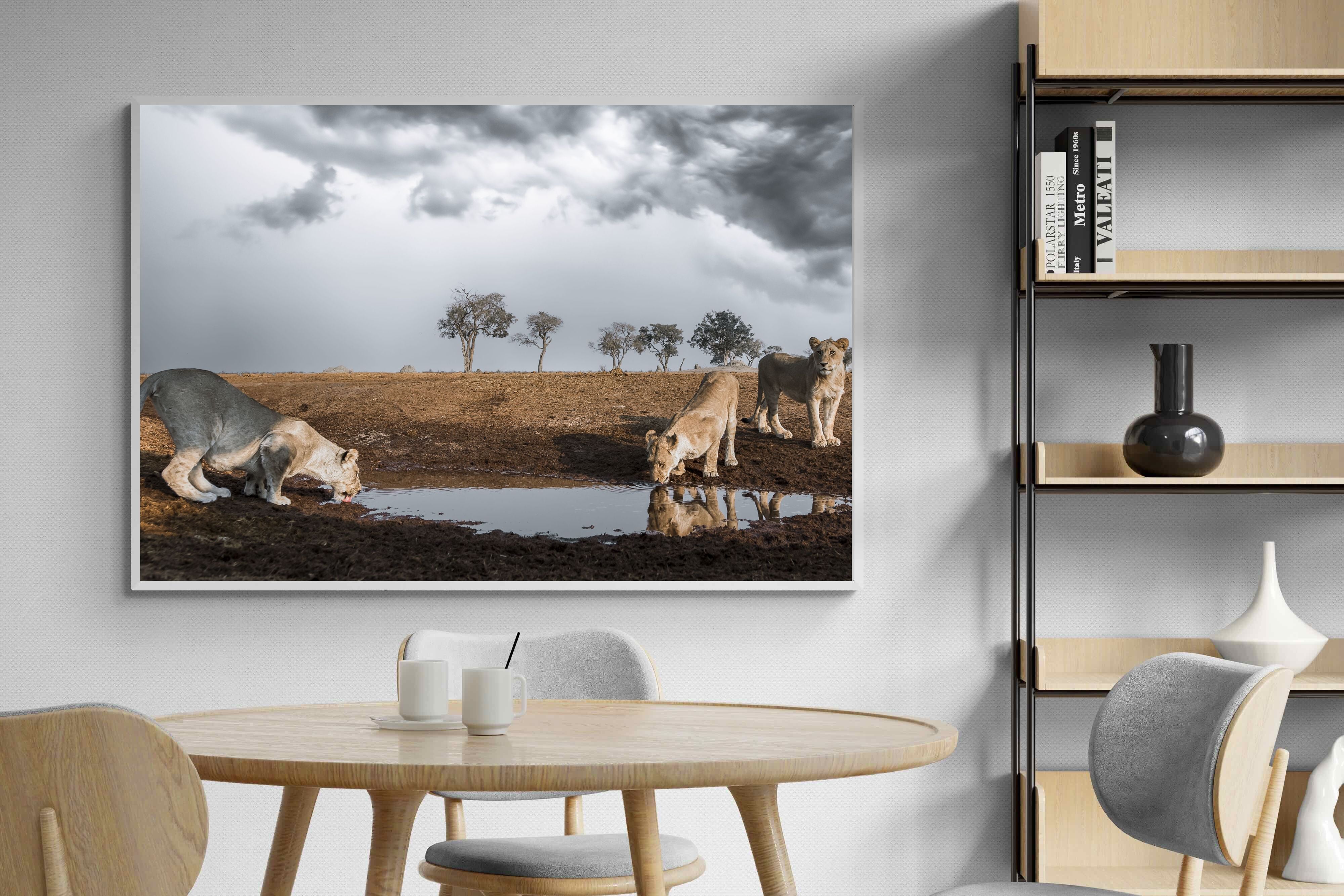 Pixalot Before the Storm