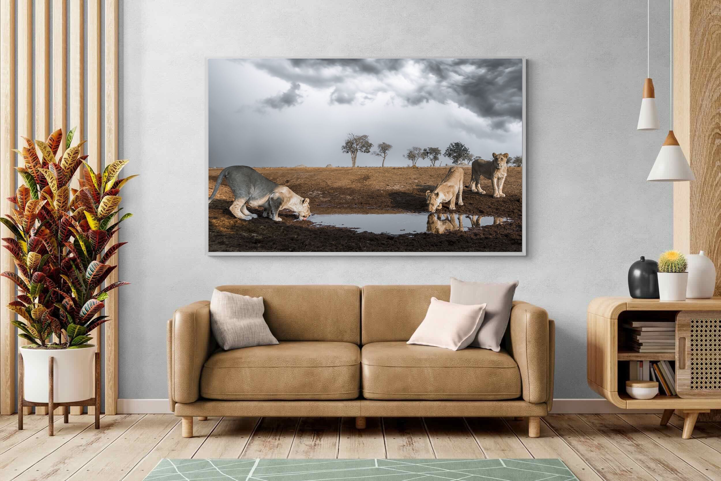 Pixalot Before the Storm