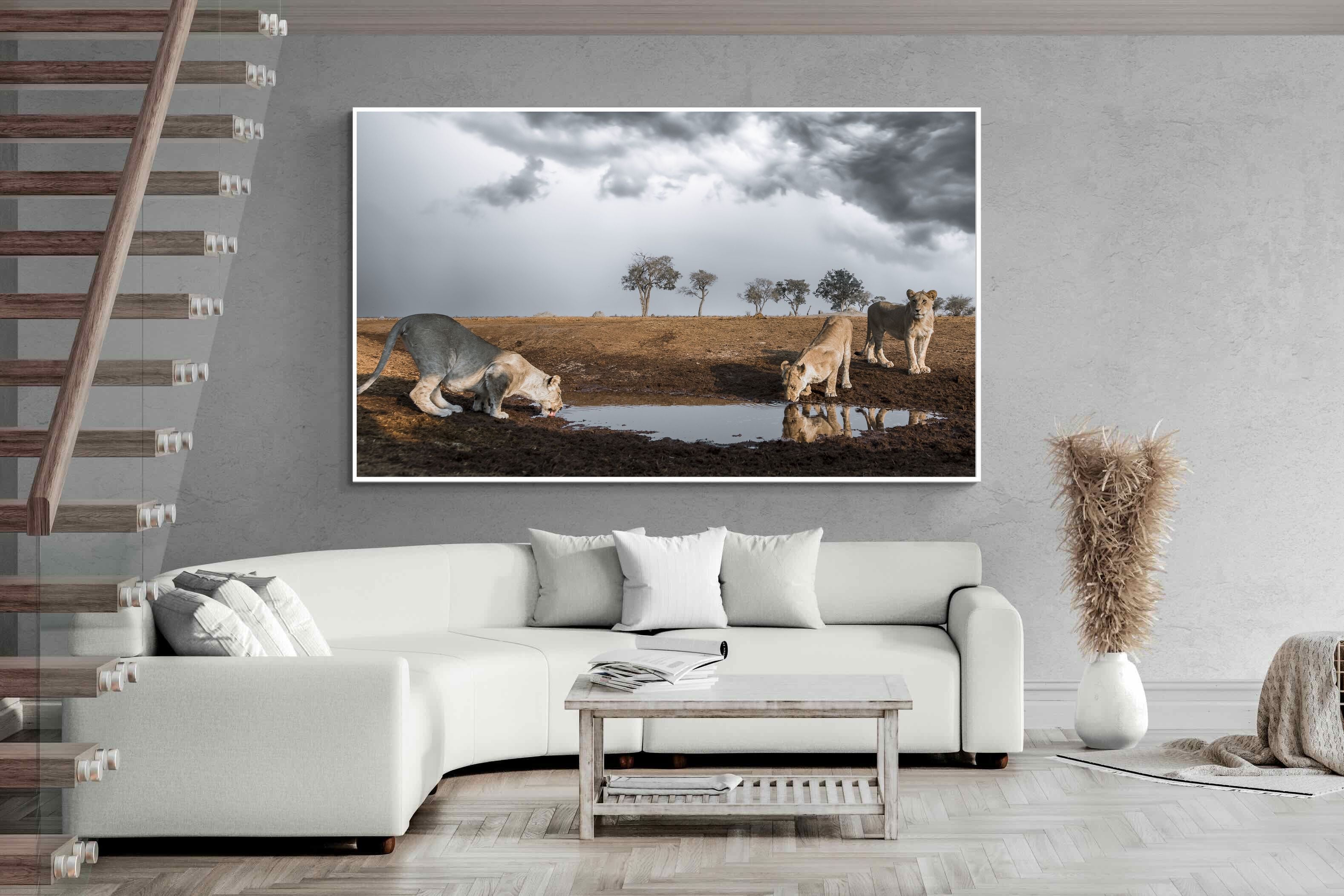 Pixalot Before the Storm