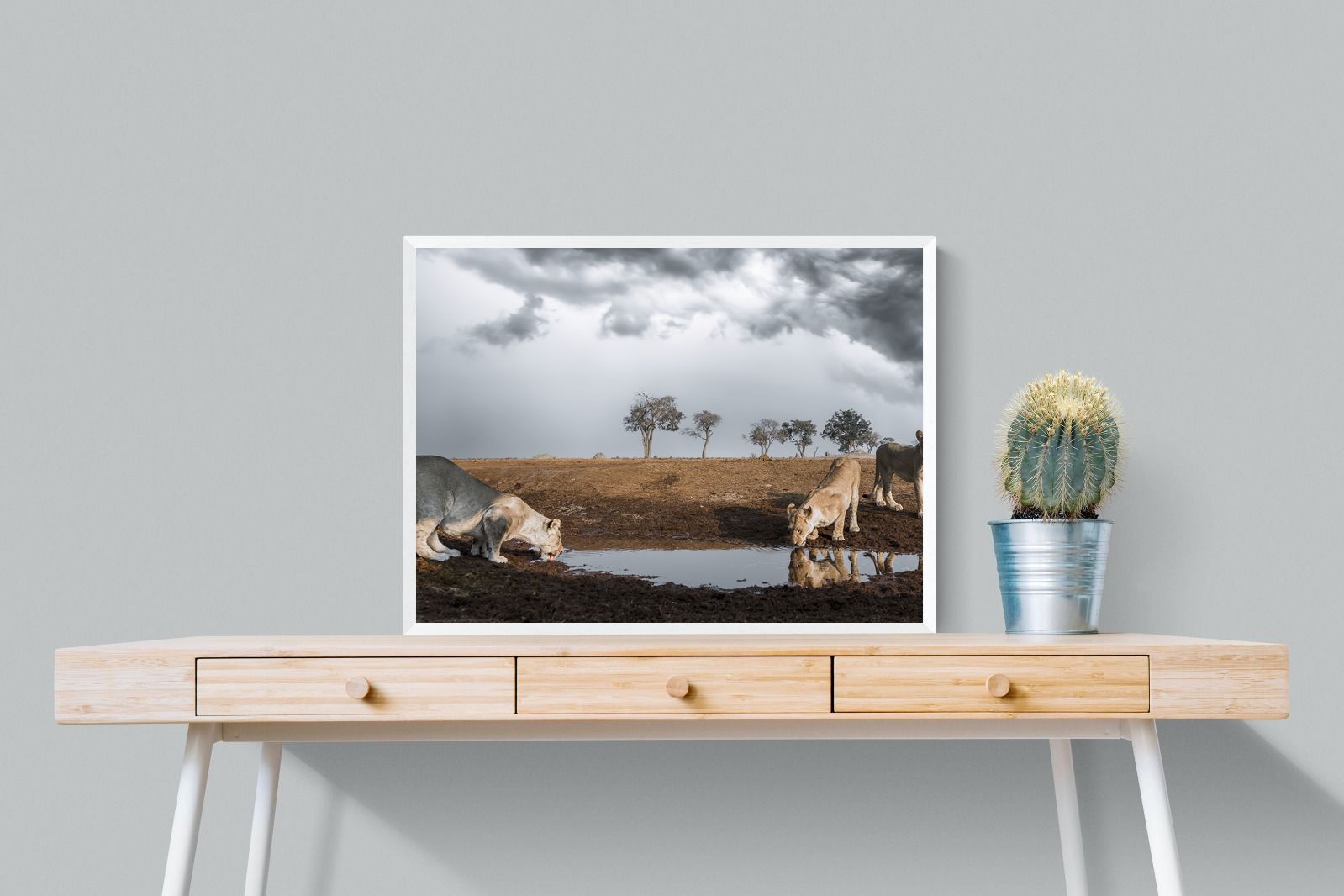 Pixalot Before the Storm