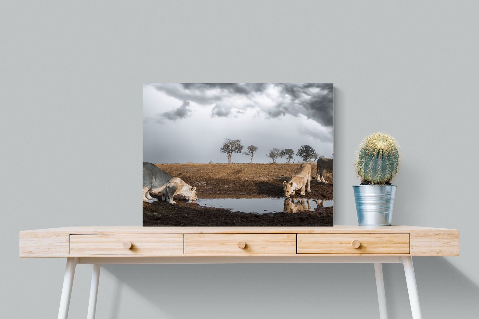 Pixalot Before the Storm