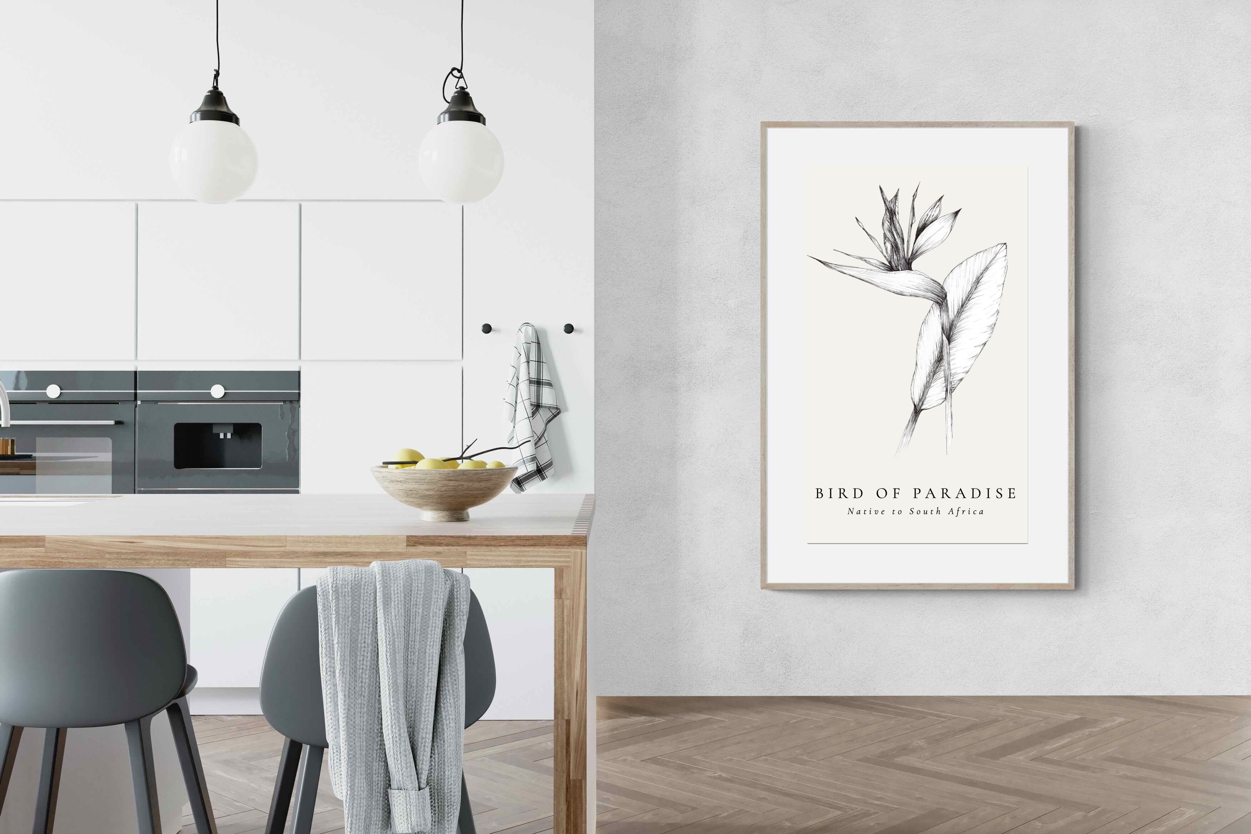 Pixalot ® Bird of Paradise Illustration