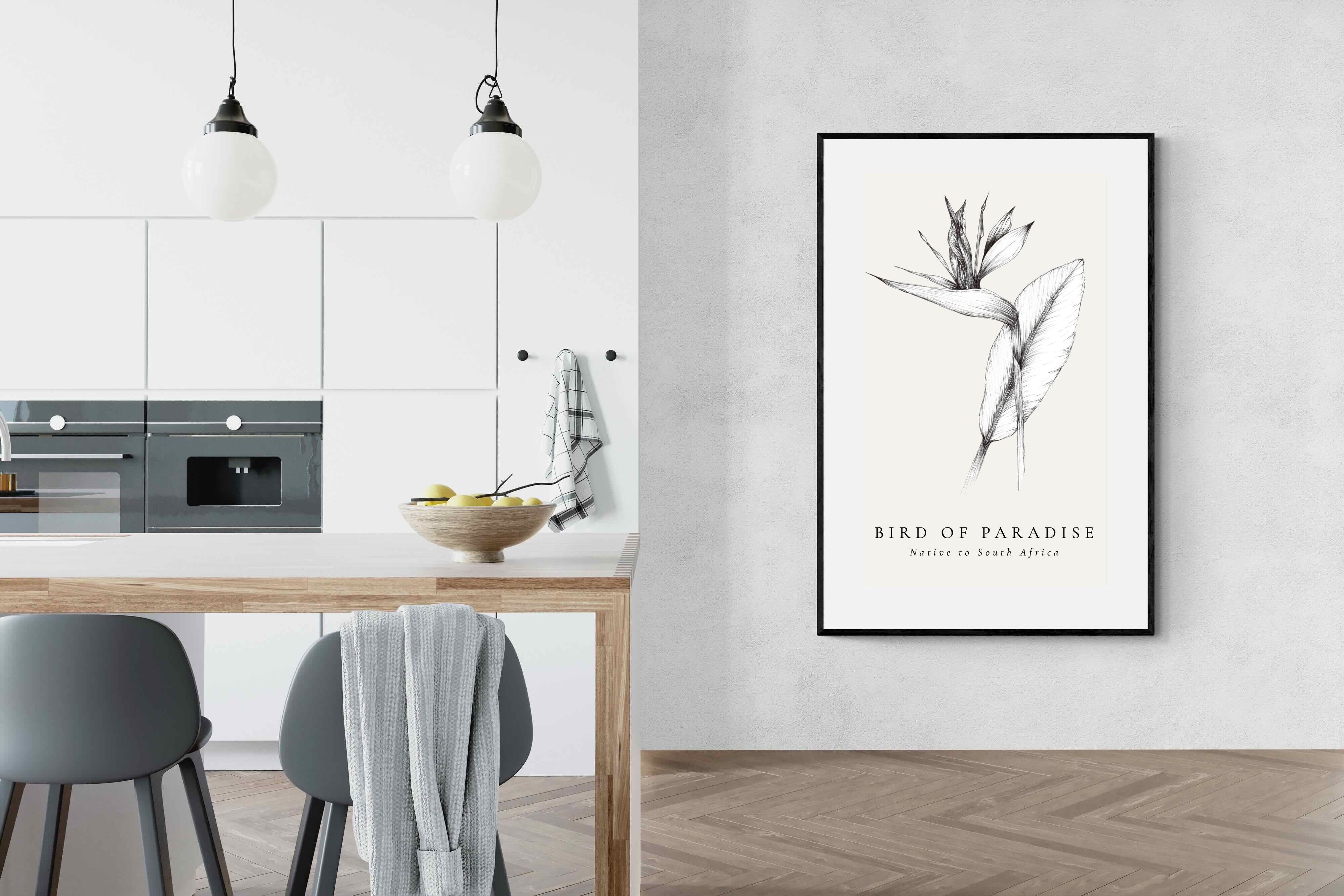Pixalot ® Bird of Paradise Illustration