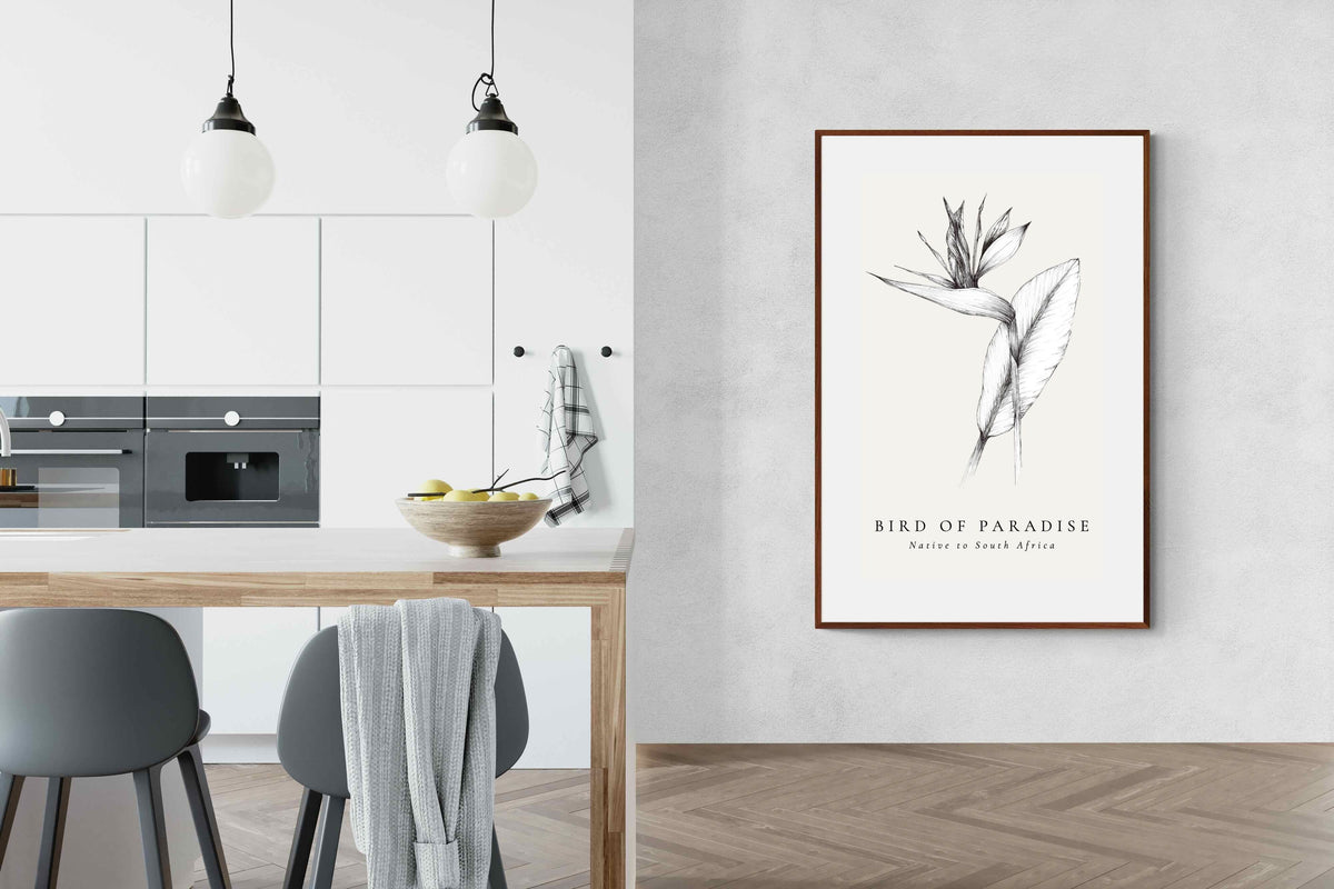 Pixalot ® Bird of Paradise Illustration