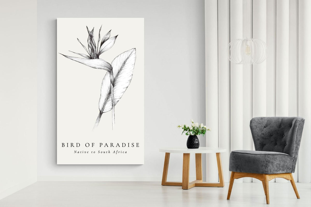 Pixalot ® Bird of Paradise Illustration