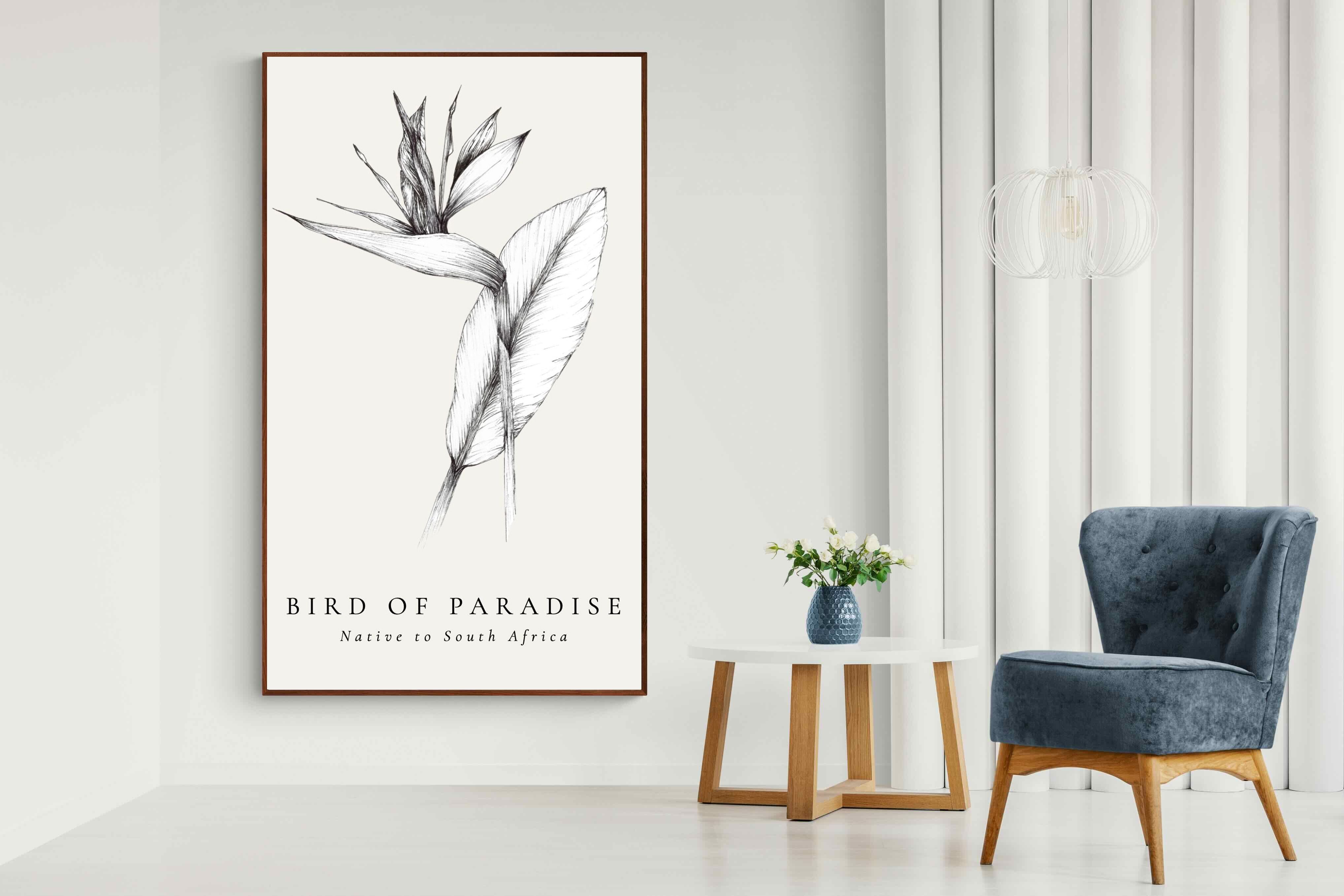 Pixalot ® Bird of Paradise Illustration