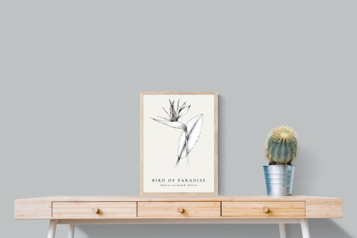 Pixalot ® Bird of Paradise Illustration