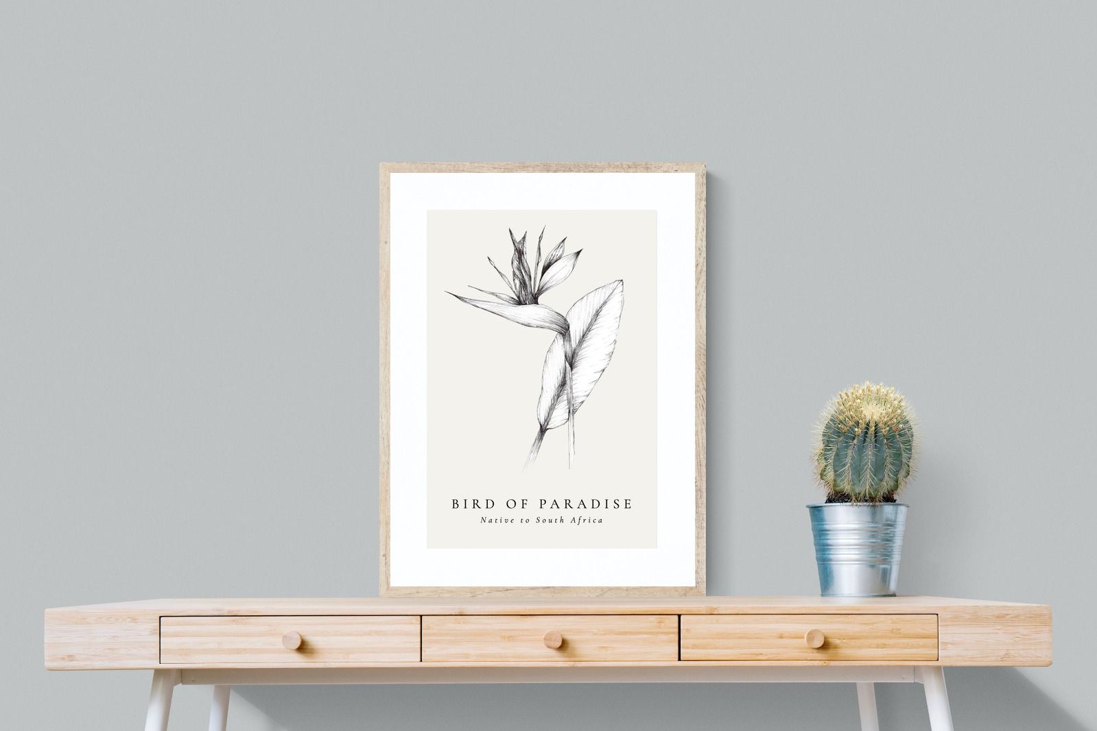 Pixalot ® Bird of Paradise Illustration