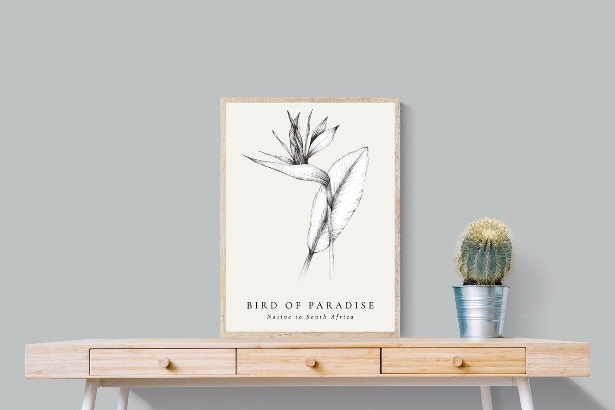 Pixalot ® Bird of Paradise Illustration