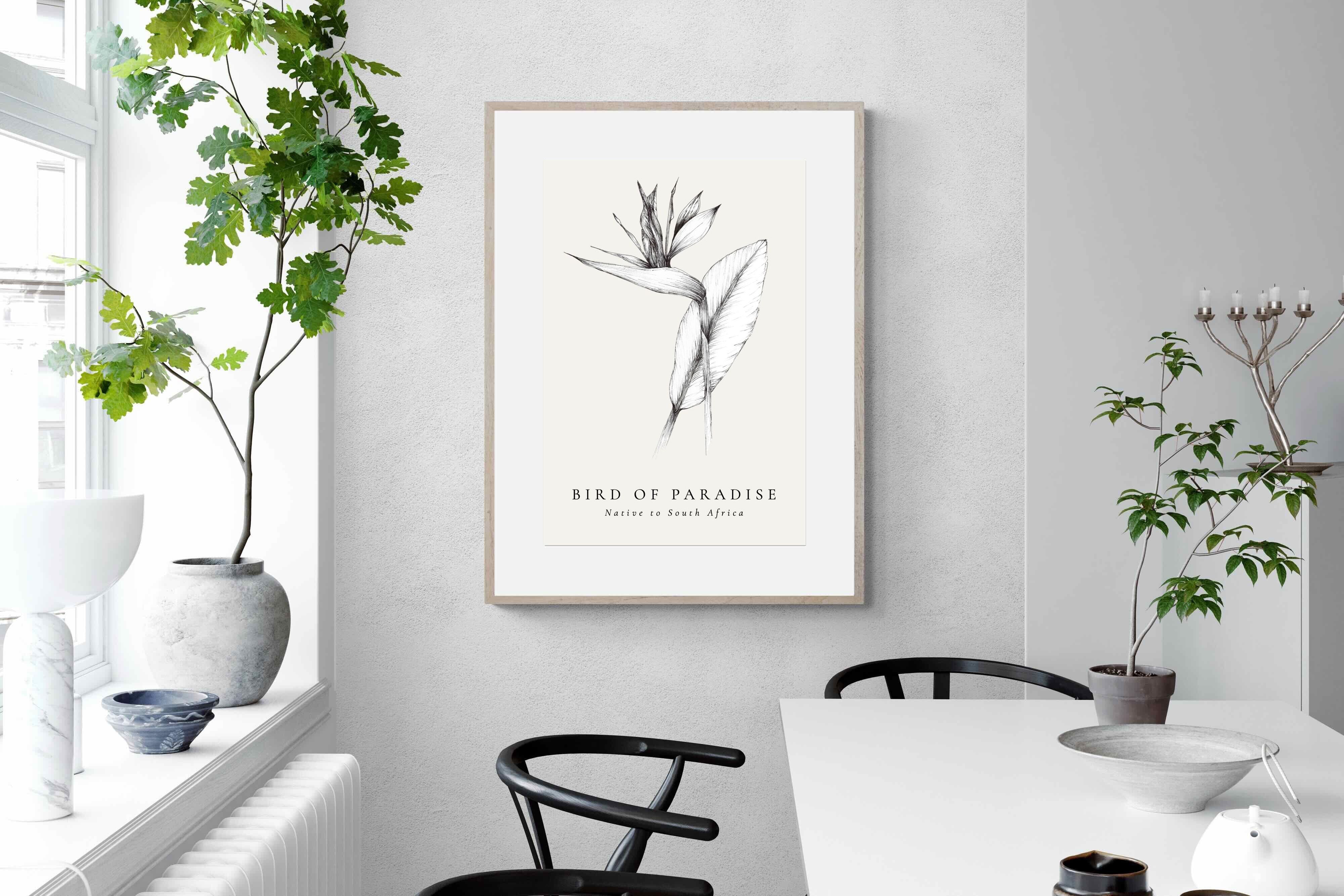 Pixalot ® Bird of Paradise Illustration
