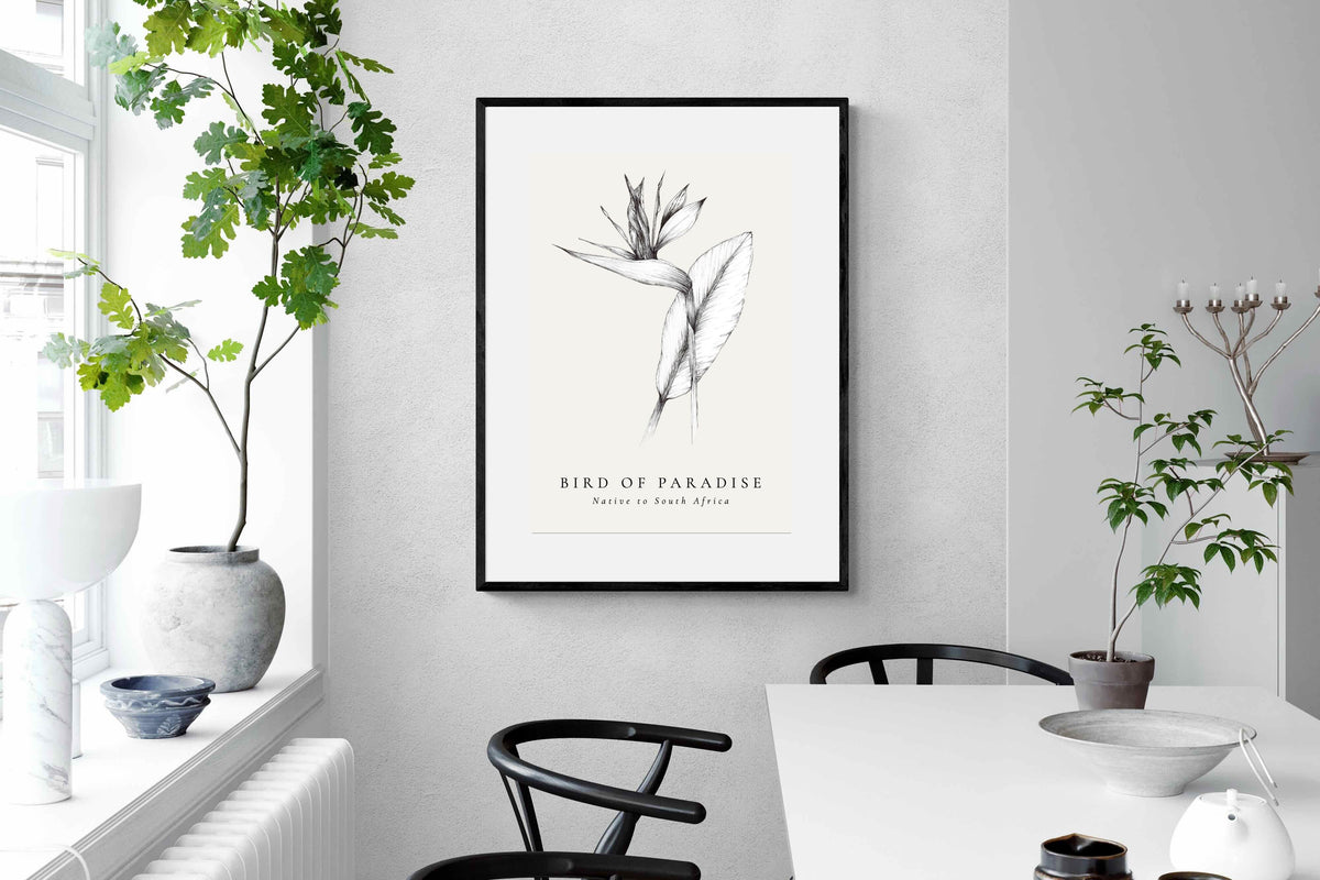Pixalot ® Bird of Paradise Illustration