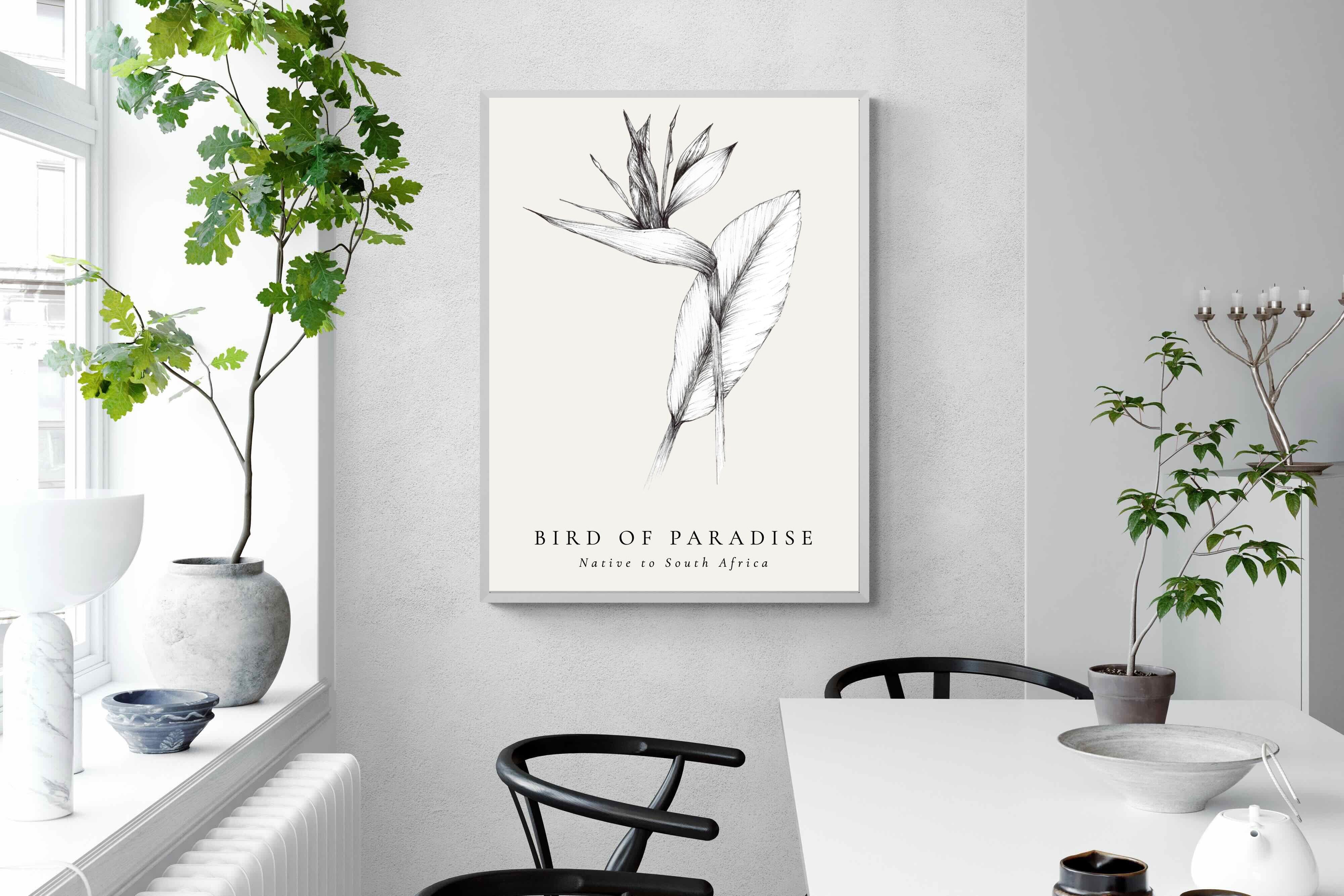 Pixalot ® Bird of Paradise Illustration