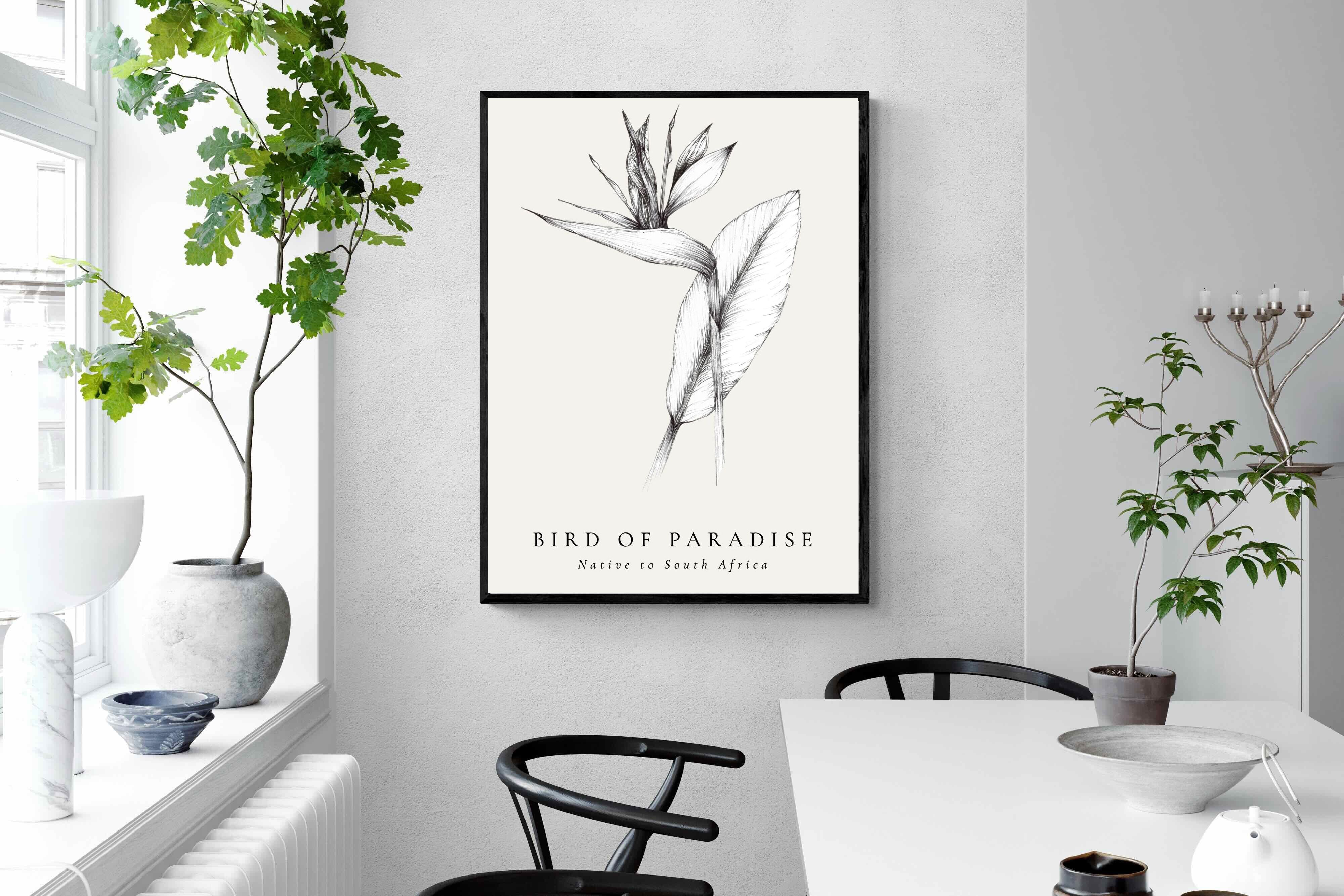 Pixalot ® Bird of Paradise Illustration