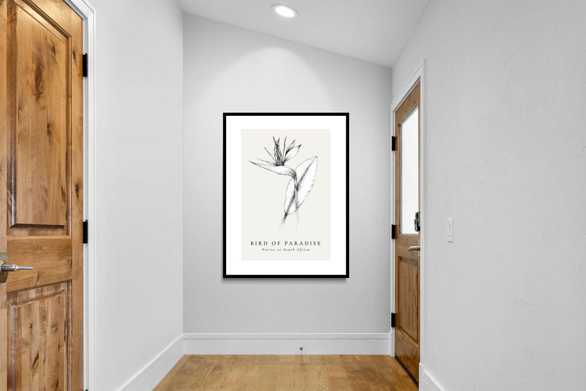 Pixalot ® Bird of Paradise Illustration