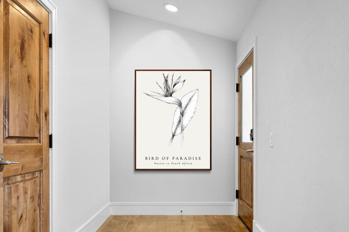 Pixalot ® Bird of Paradise Illustration