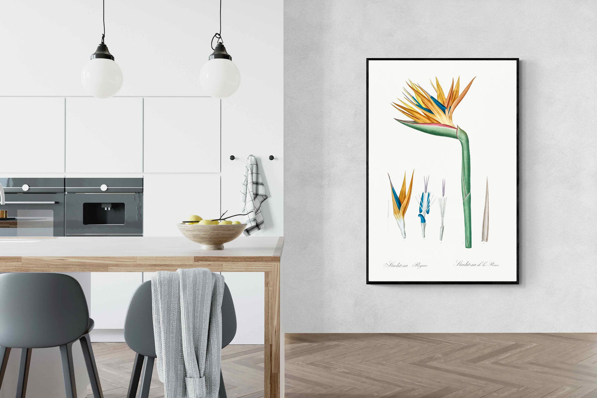 Pixalot ® Bird of Paradise Vintage Illustration