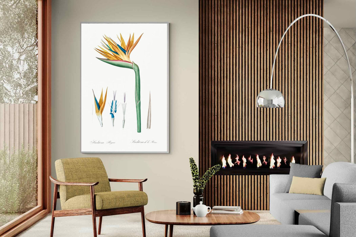 Pixalot ® Bird of Paradise Vintage Illustration