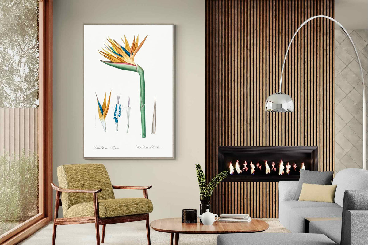Pixalot ® Bird of Paradise Vintage Illustration