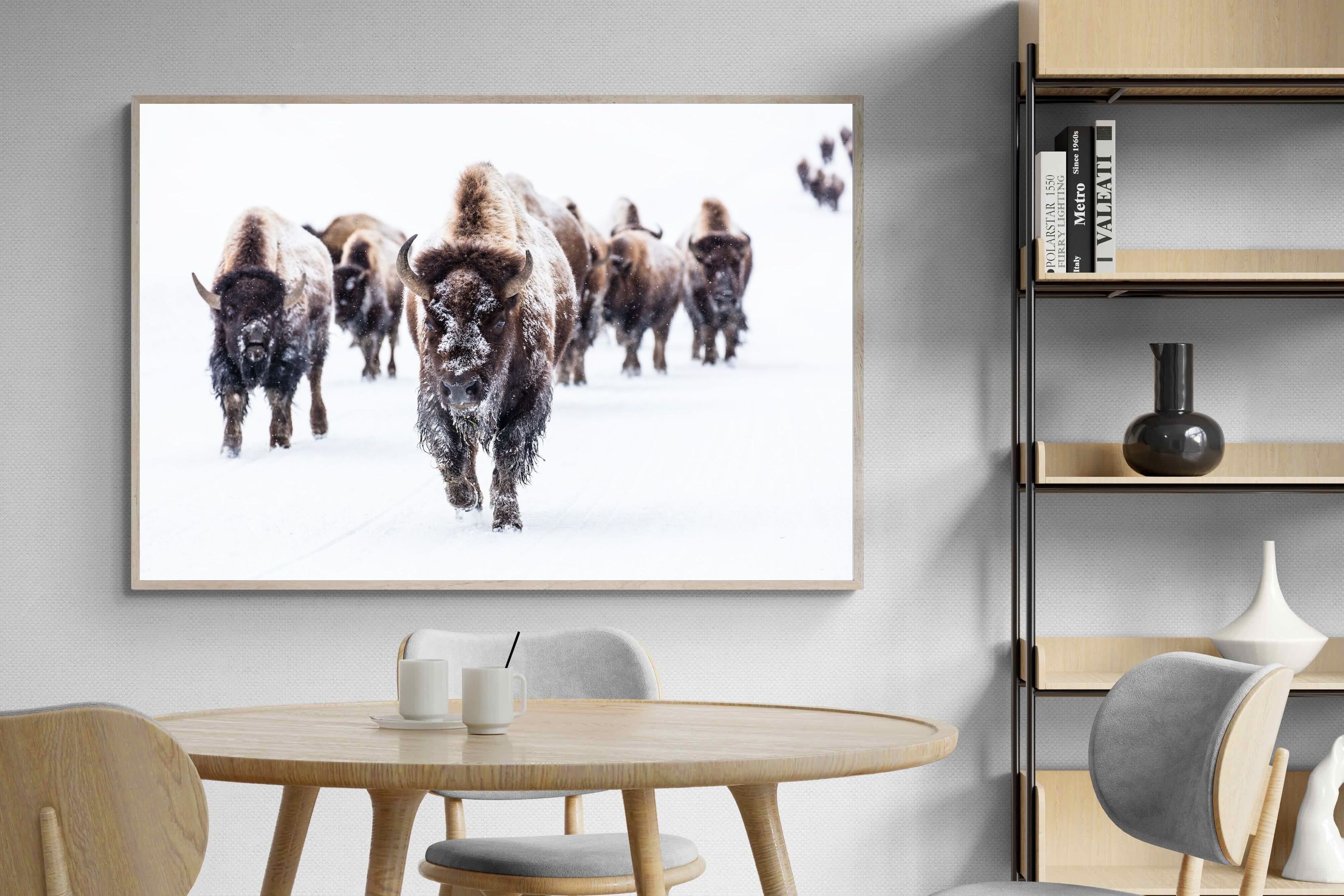 Pixalot Bison Herd