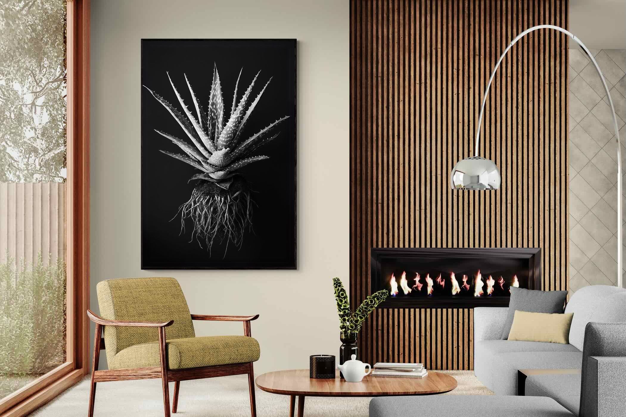 Pixalot Black Aloe