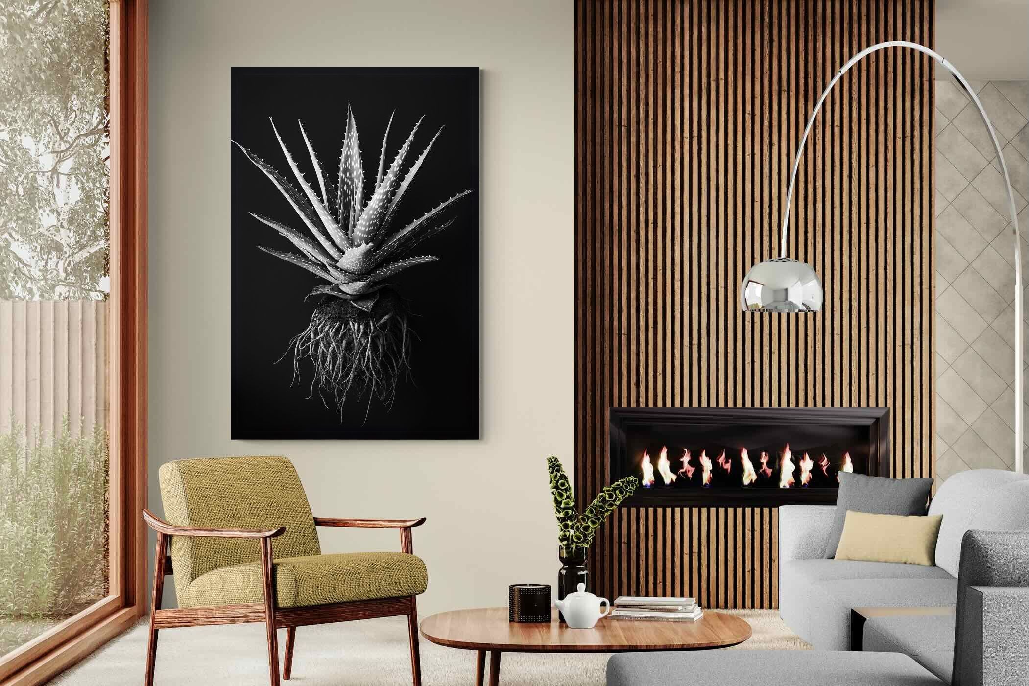 Pixalot Black Aloe