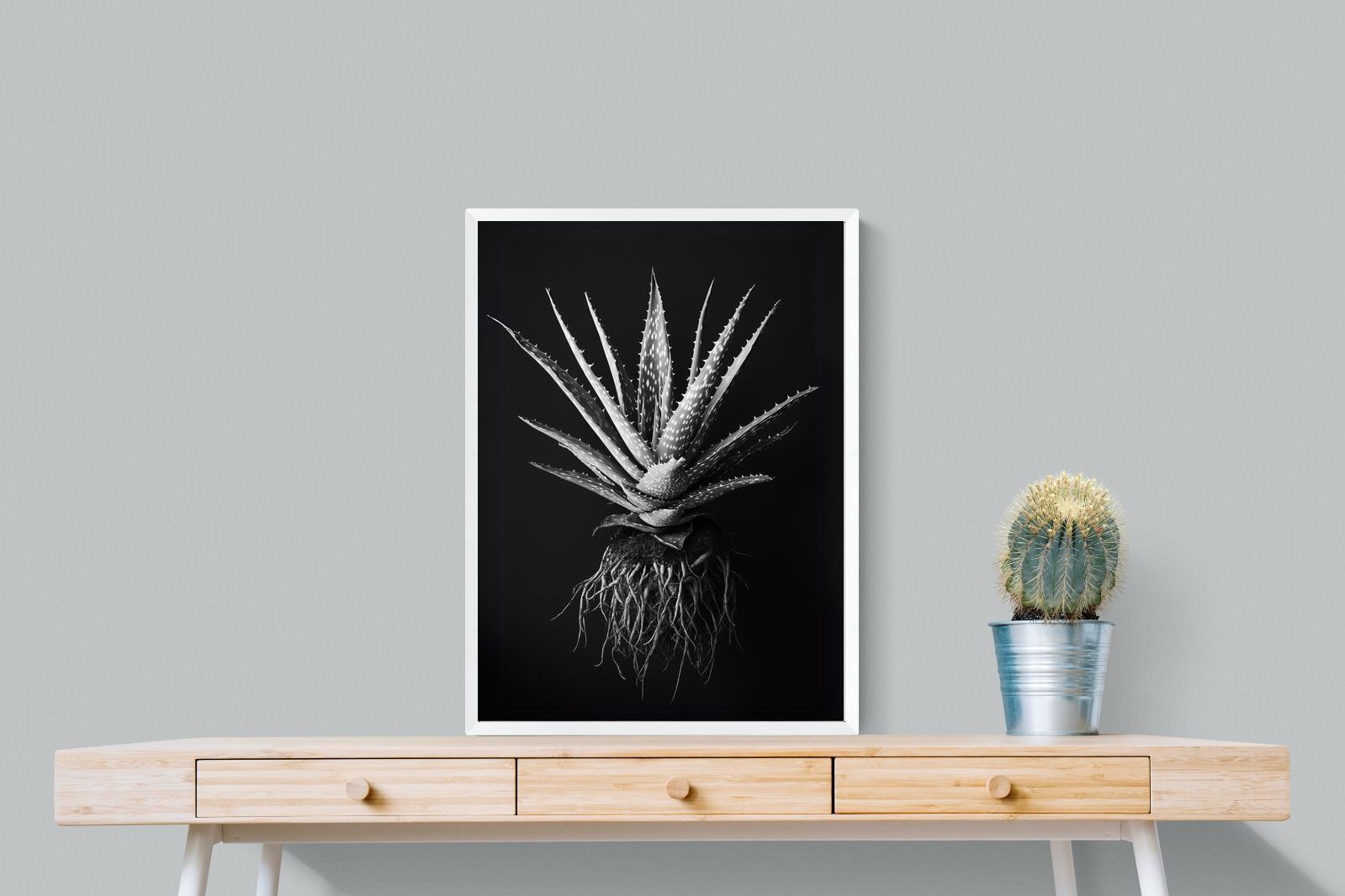 Pixalot Black Aloe