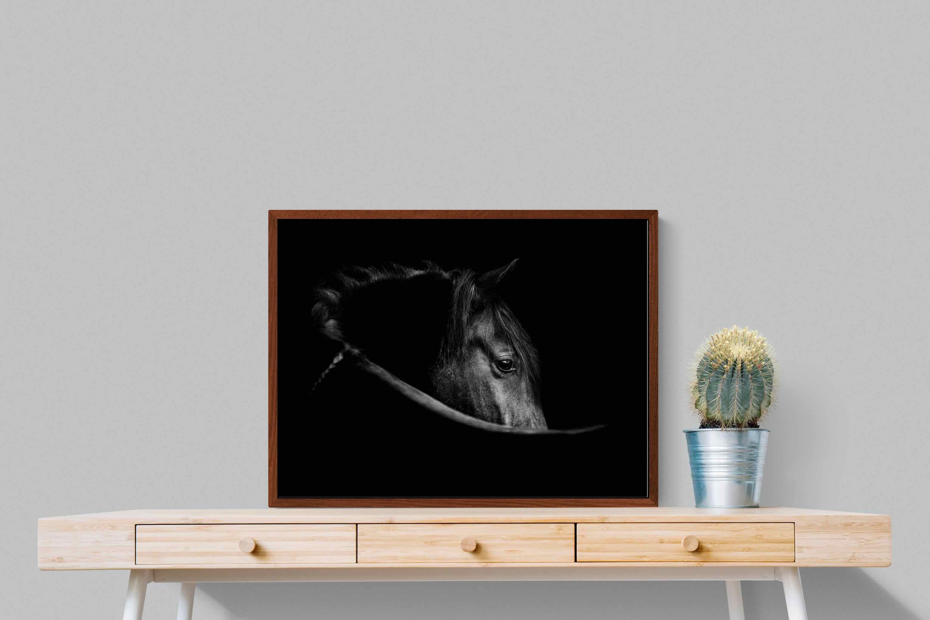 Pixalot ® Black Beauty