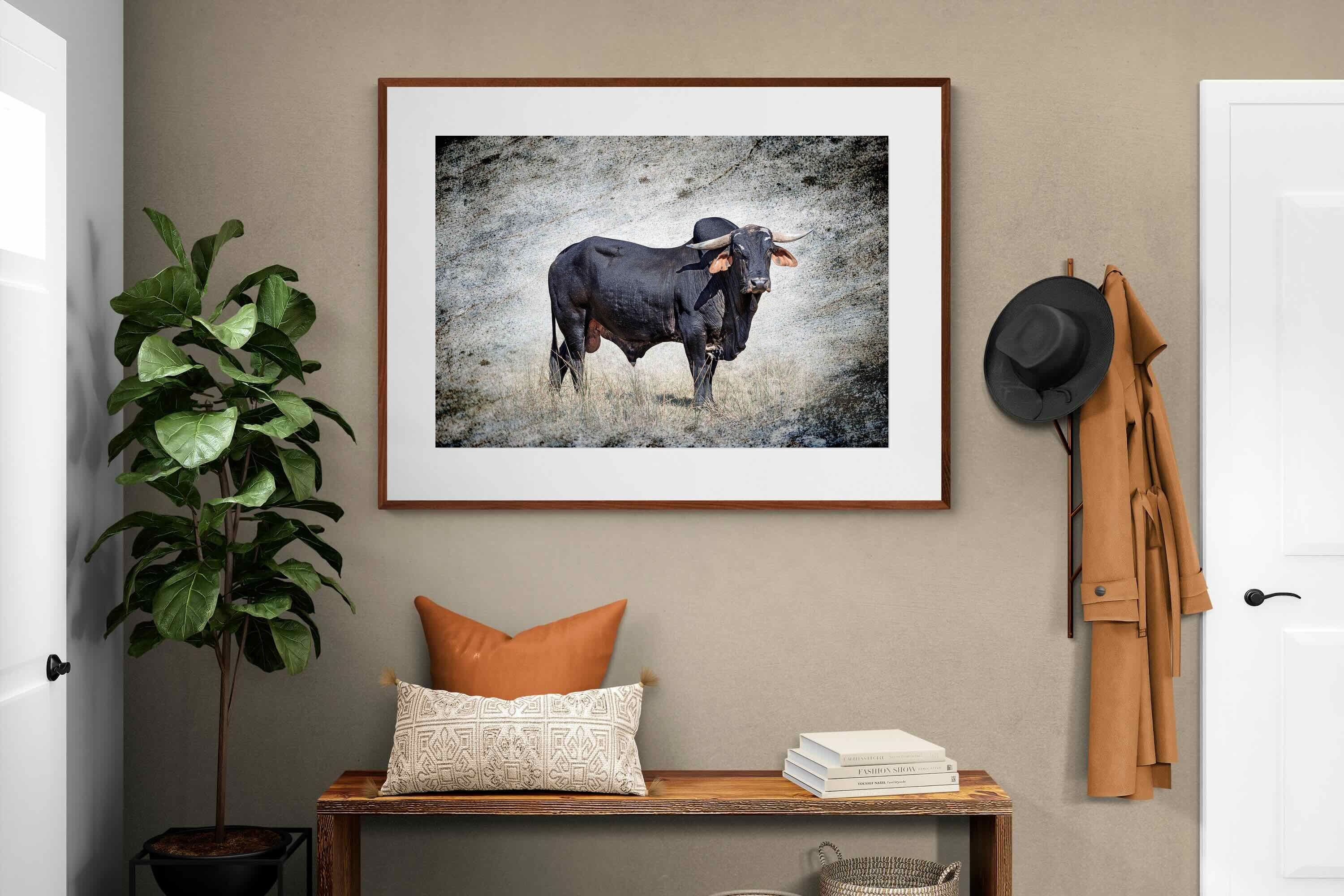 Pixalot ® Black Bull
