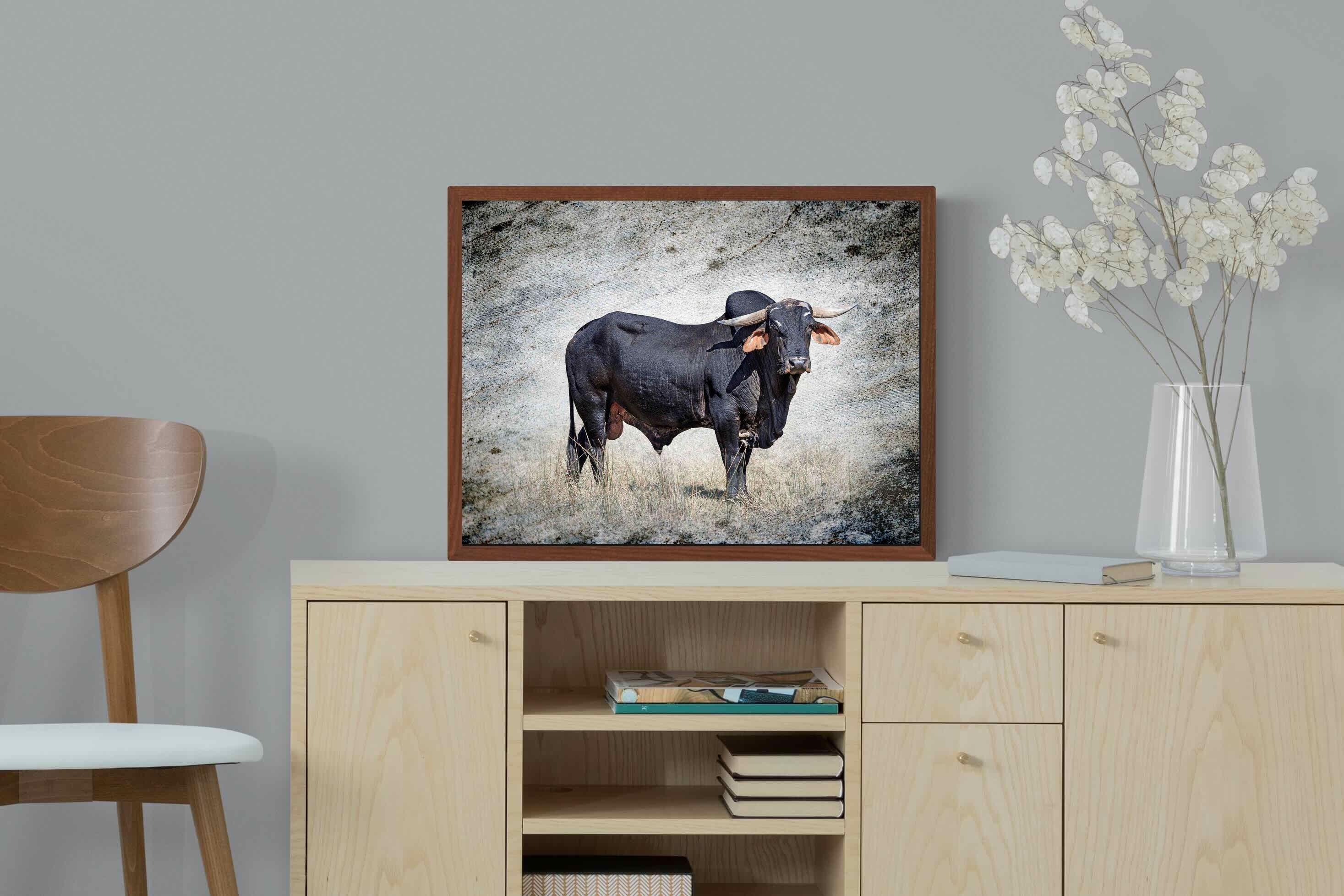 Pixalot ® Black Bull