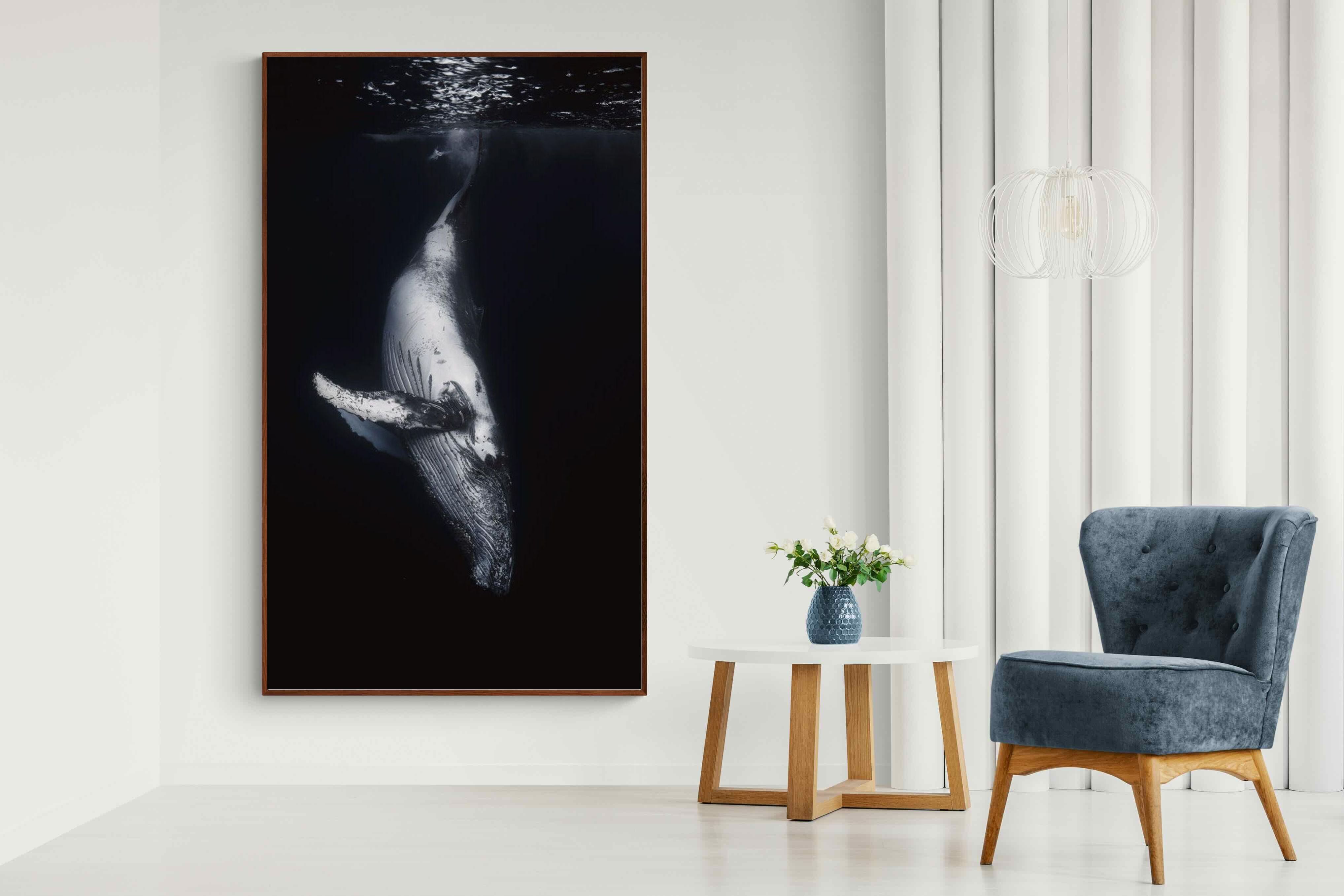 Pixalot ® Black Whale