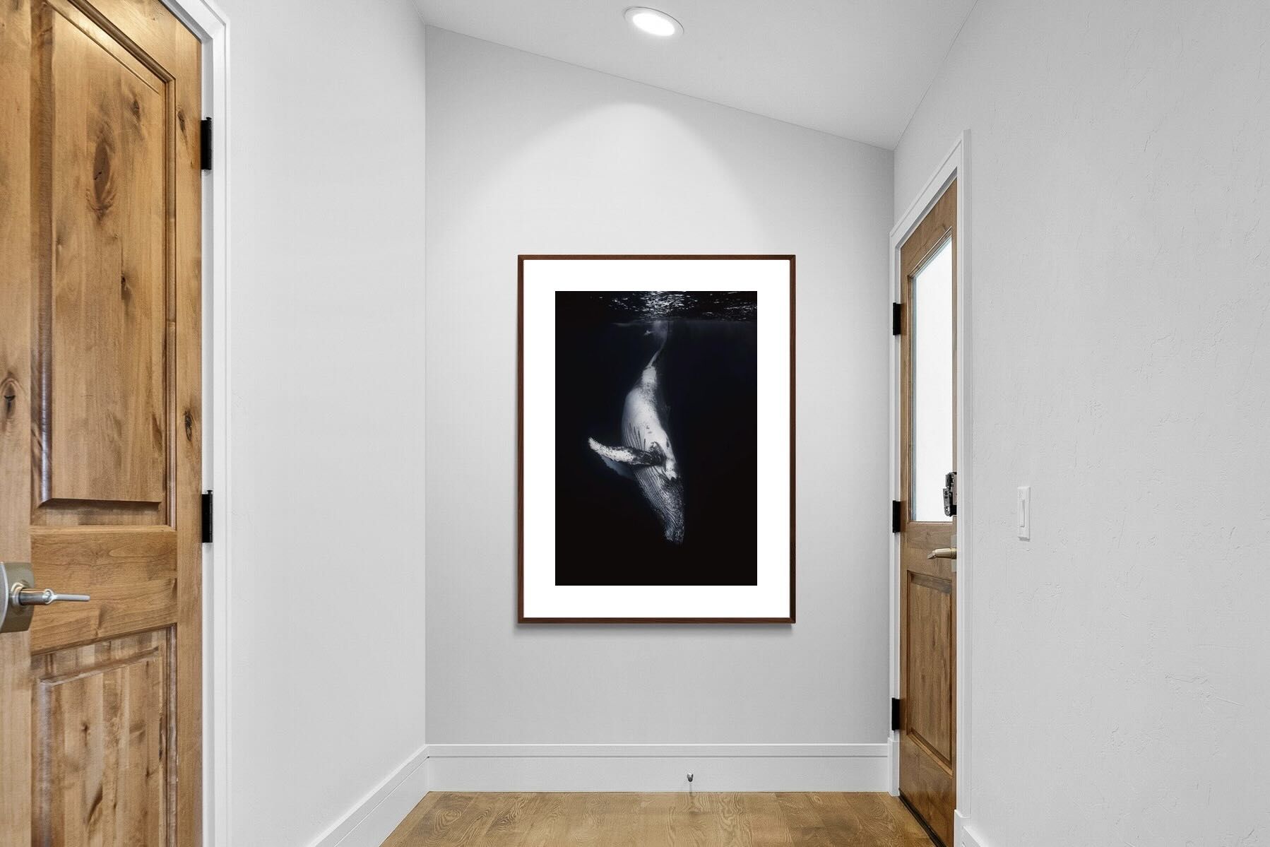 Pixalot ® Black Whale