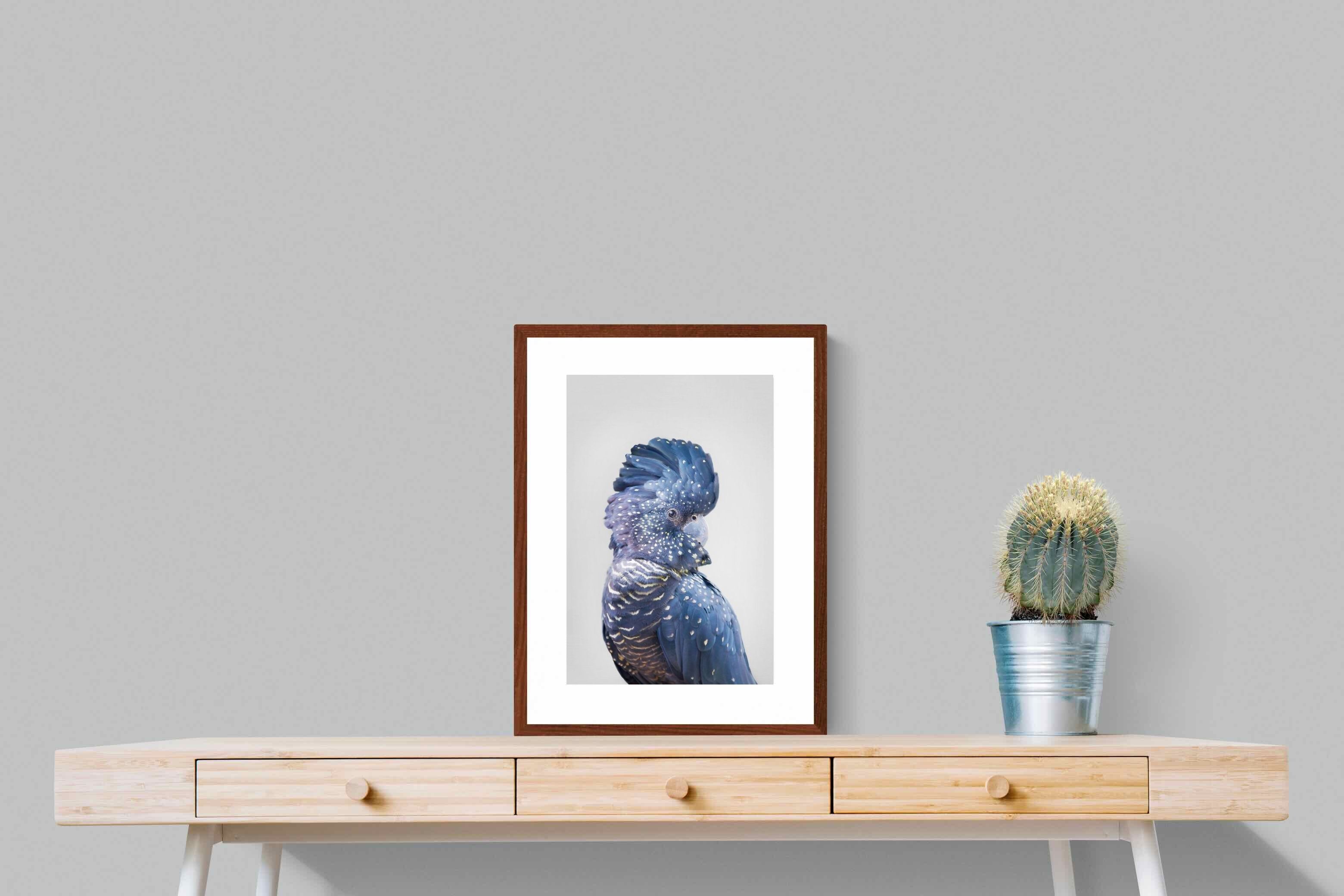 Pixalot Blue Cockatoo