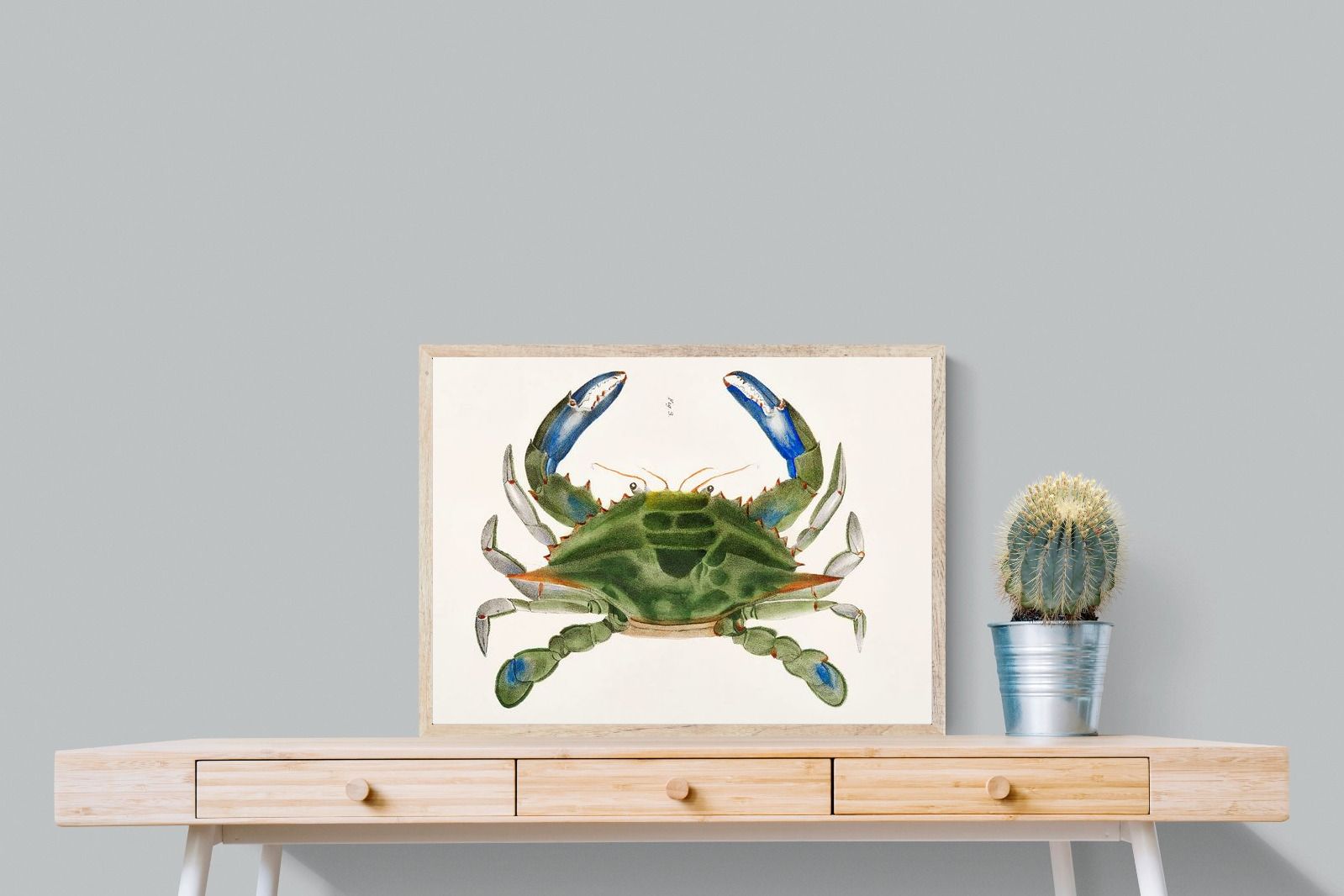 Pixalot ® Blue Crab Illustration