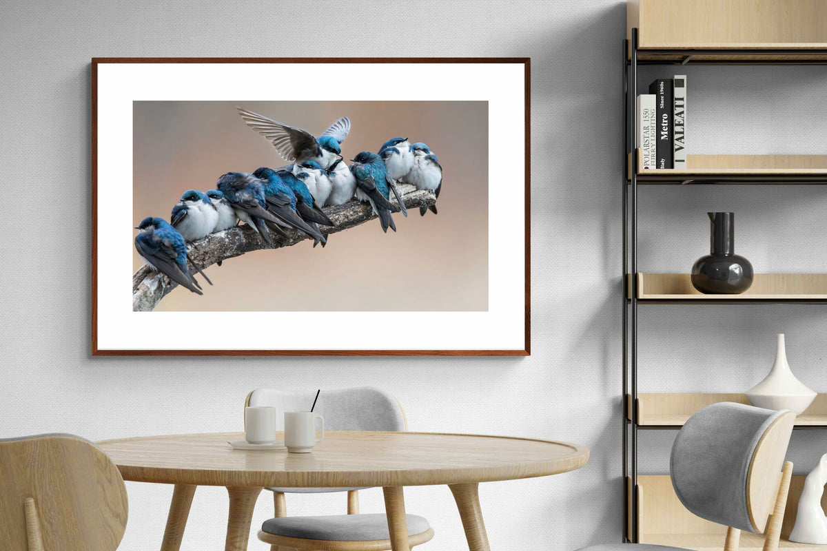 Pixalot ® Blue Gathering