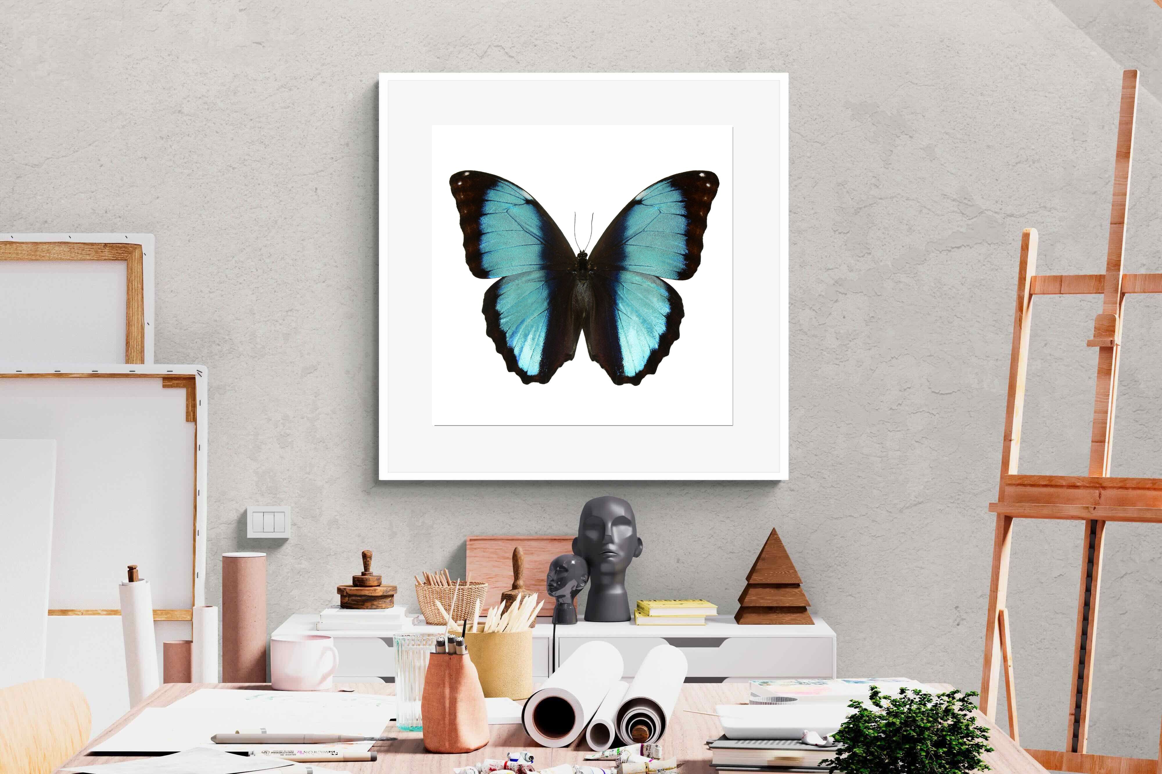 Pixalot Blue Morpho